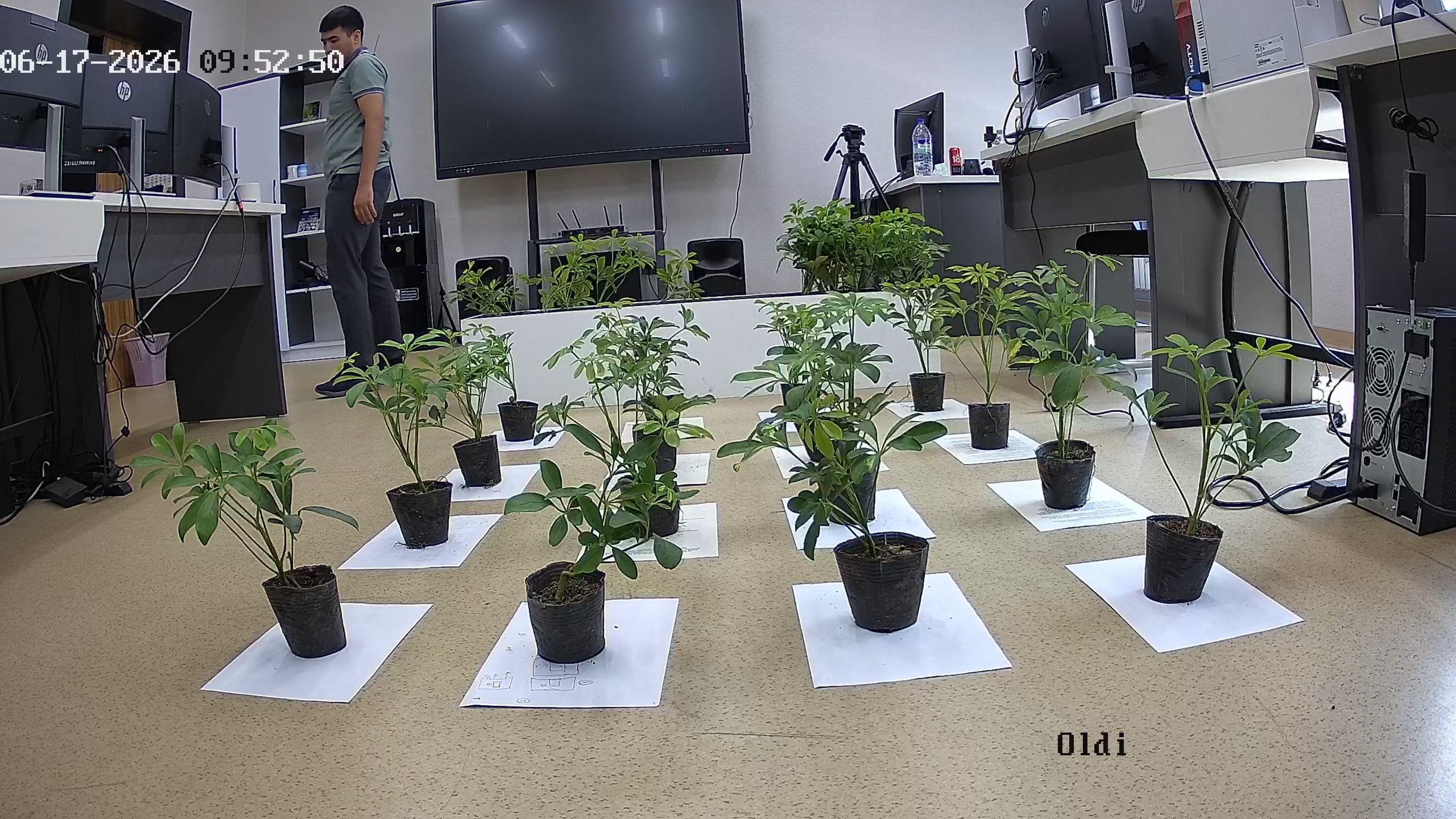 seedling_2026-06-17_09-53-40.jpg