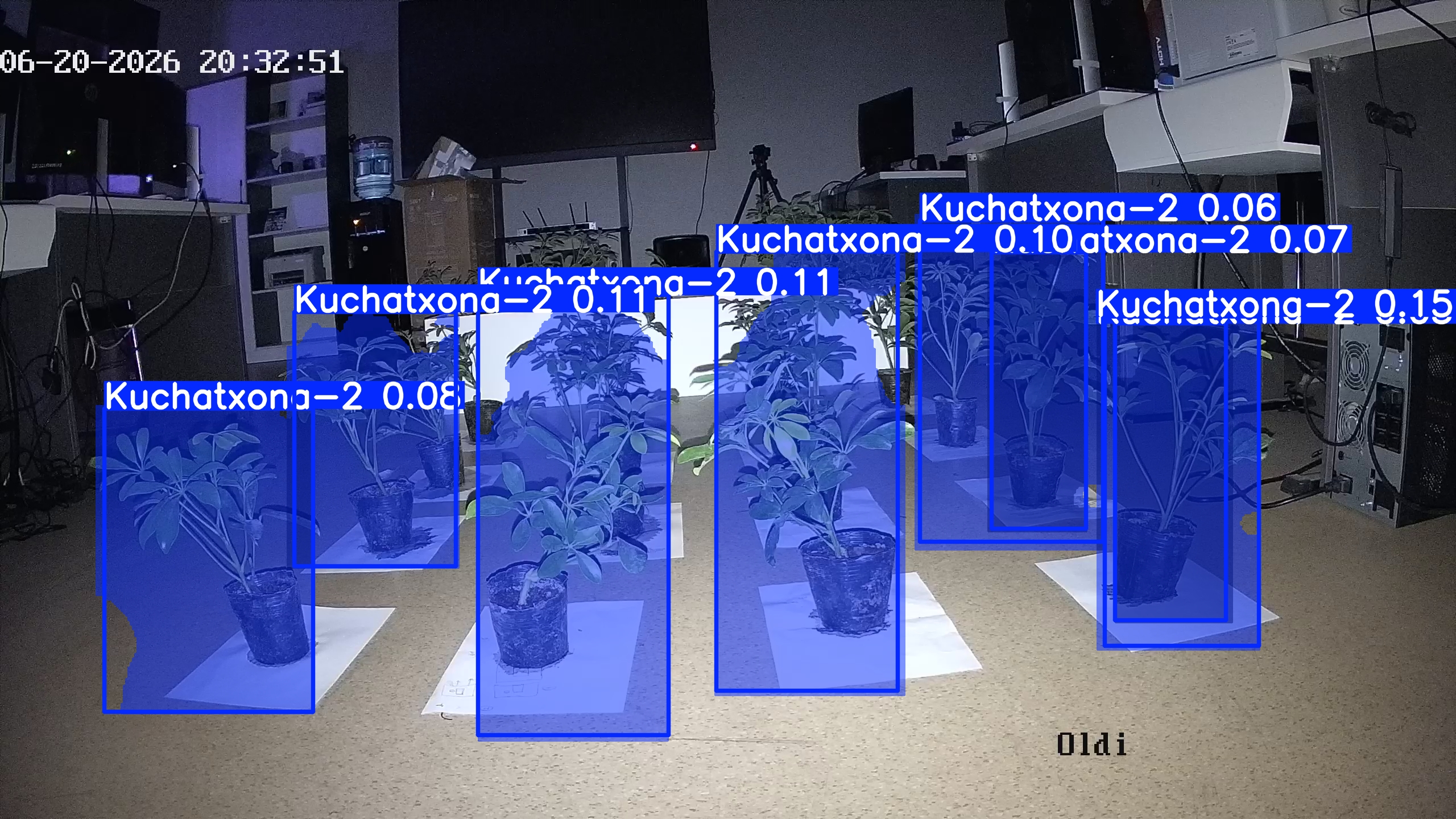 seedling_2026-06-20_20-33-25.jpg