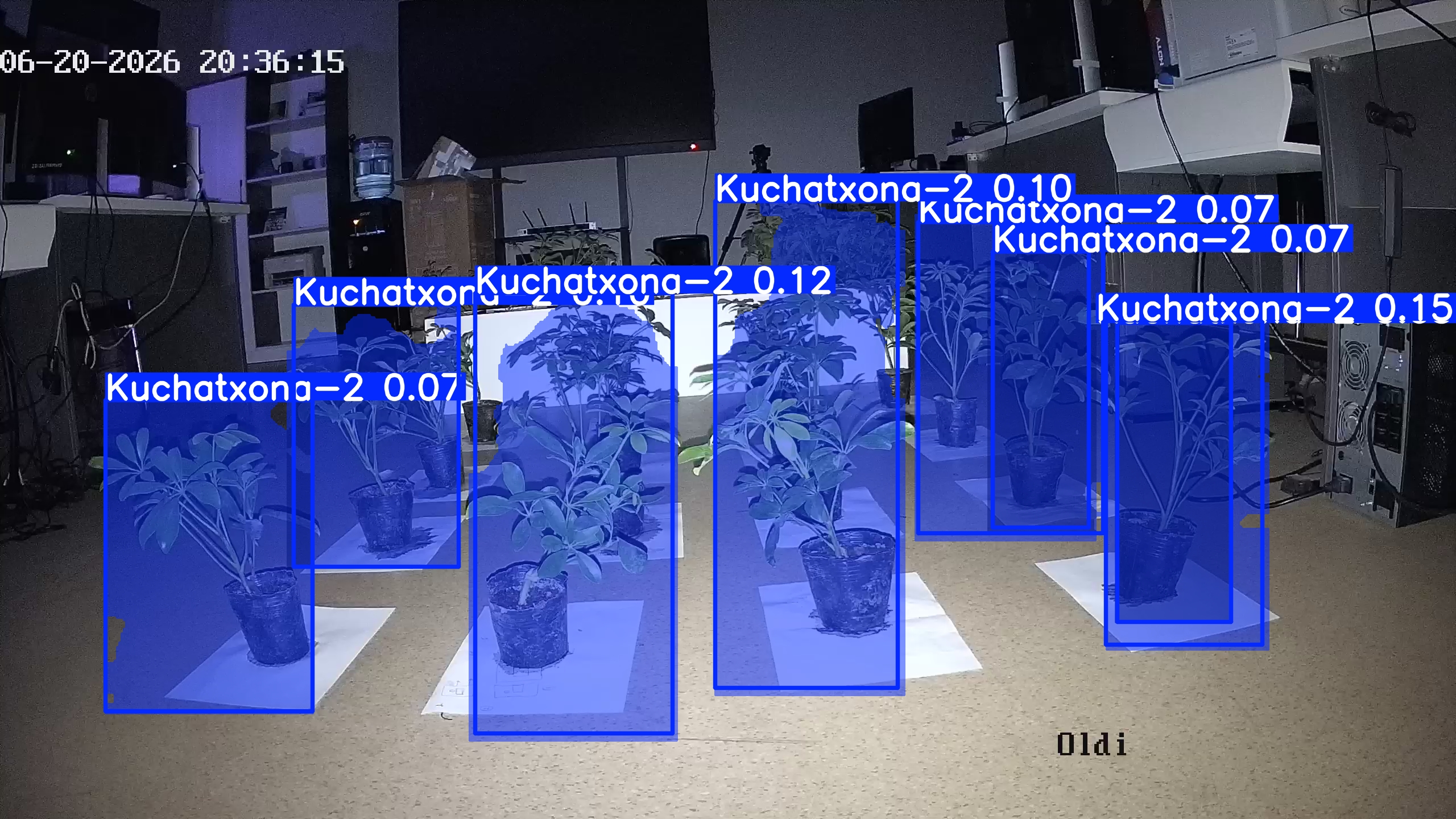 seedling_2026-06-20_20-36-32.jpg
