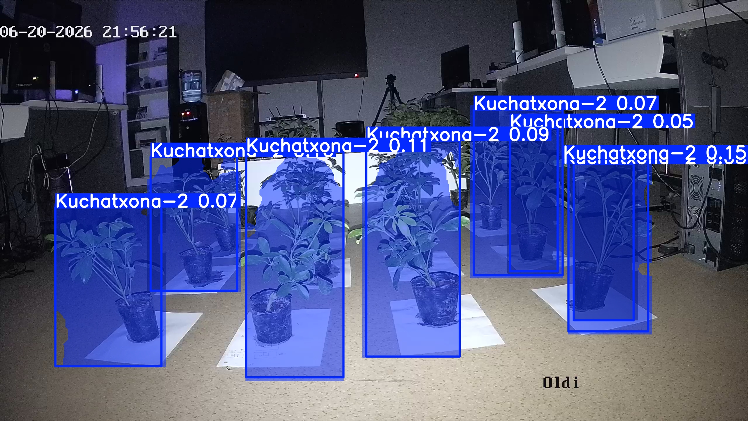 seedling_2026-06-20_21-56-46.jpg