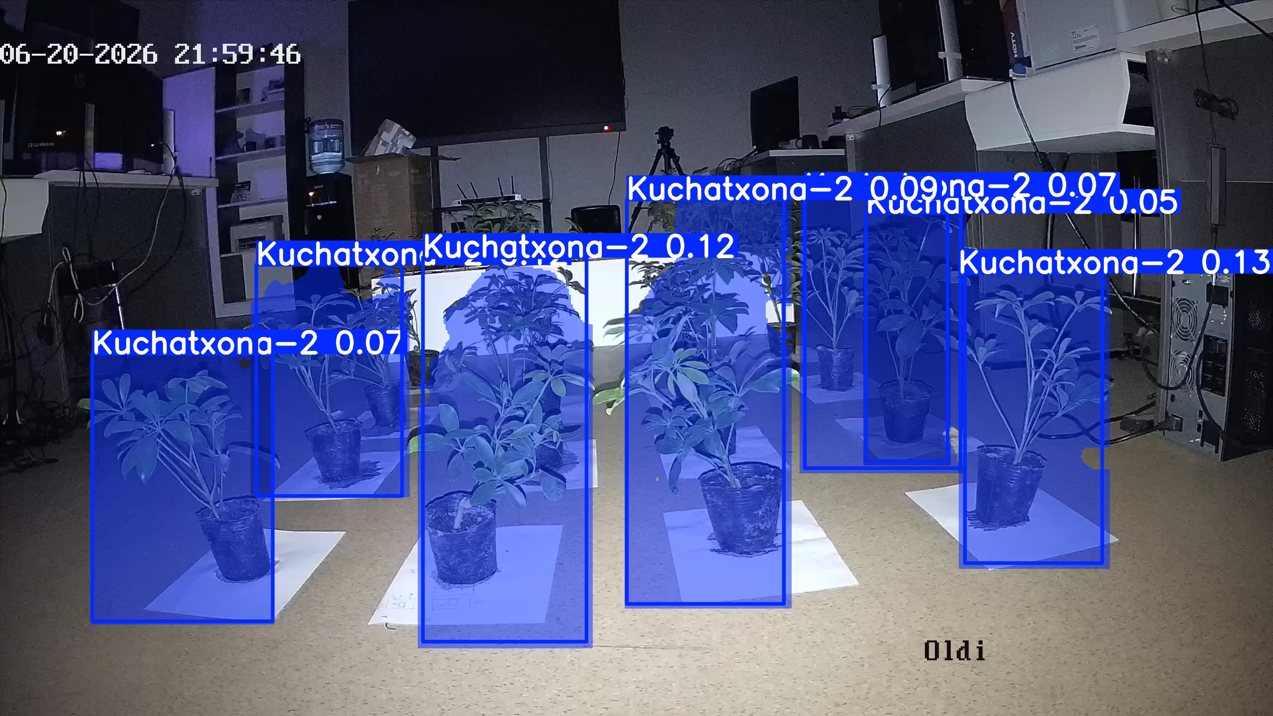 seedling_2026-06-20_22-00-04.jpg