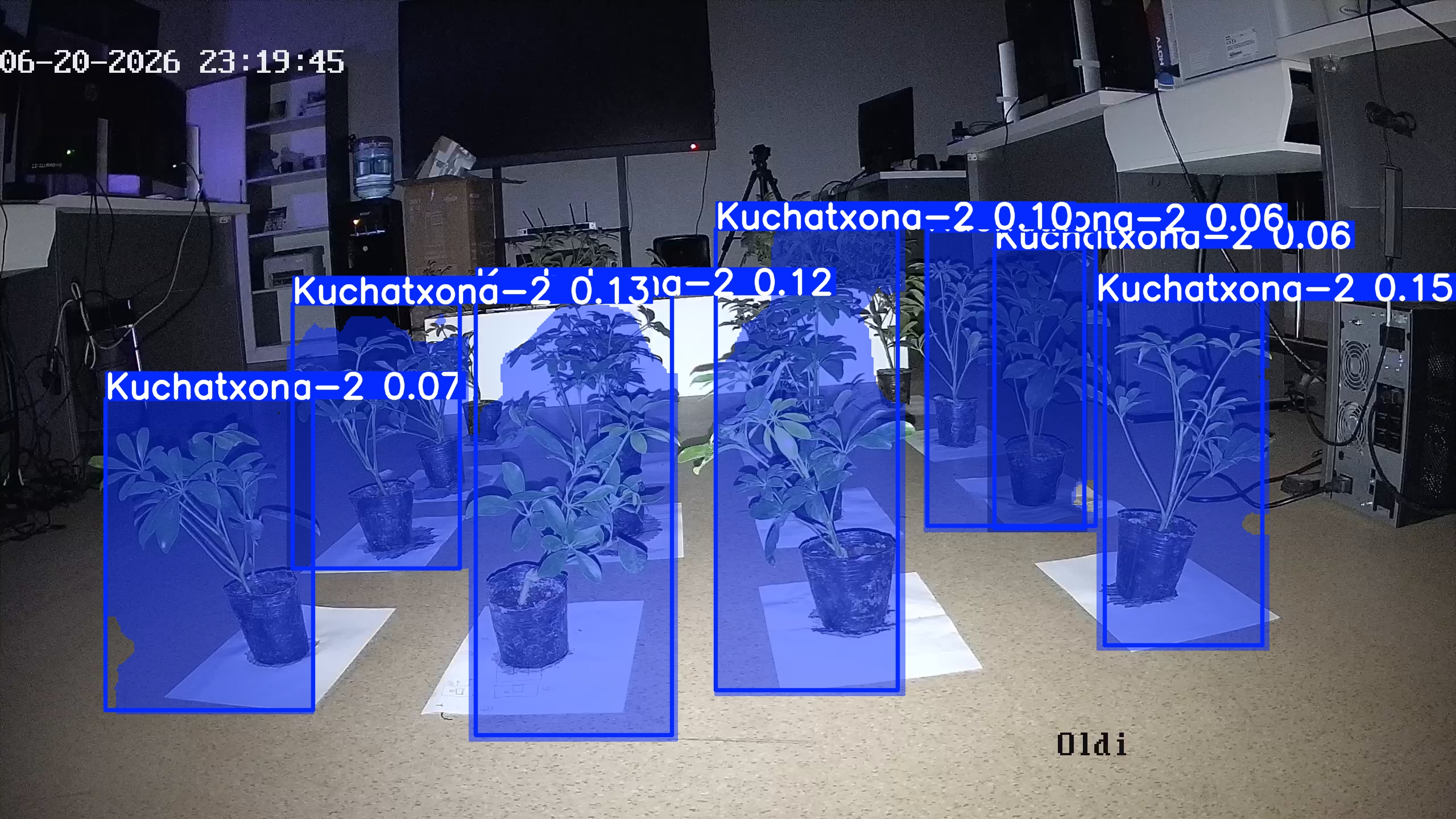 seedling_2026-06-20_23-20-07.jpg