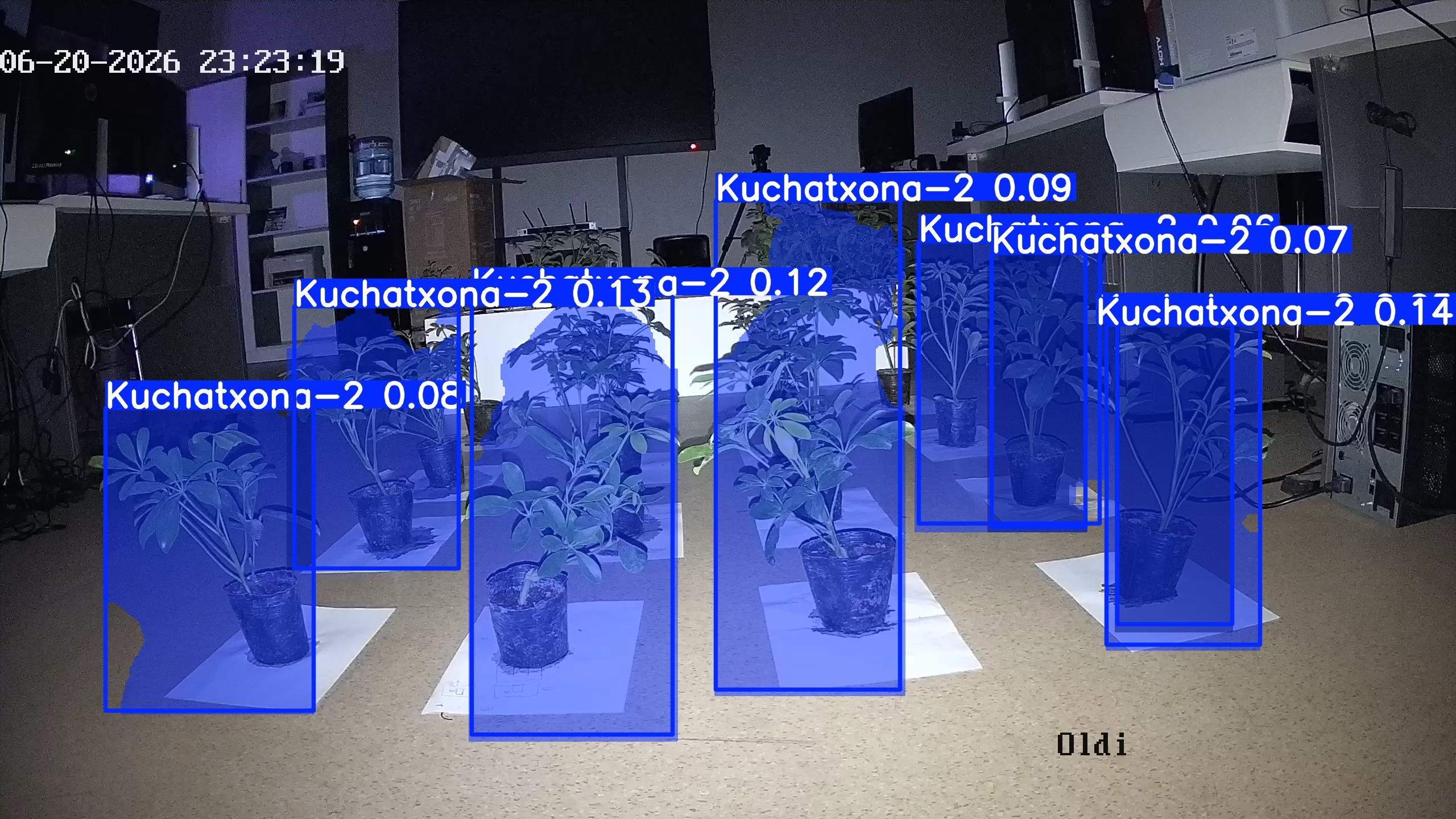 seedling_2026-06-20_23-23-36.jpg