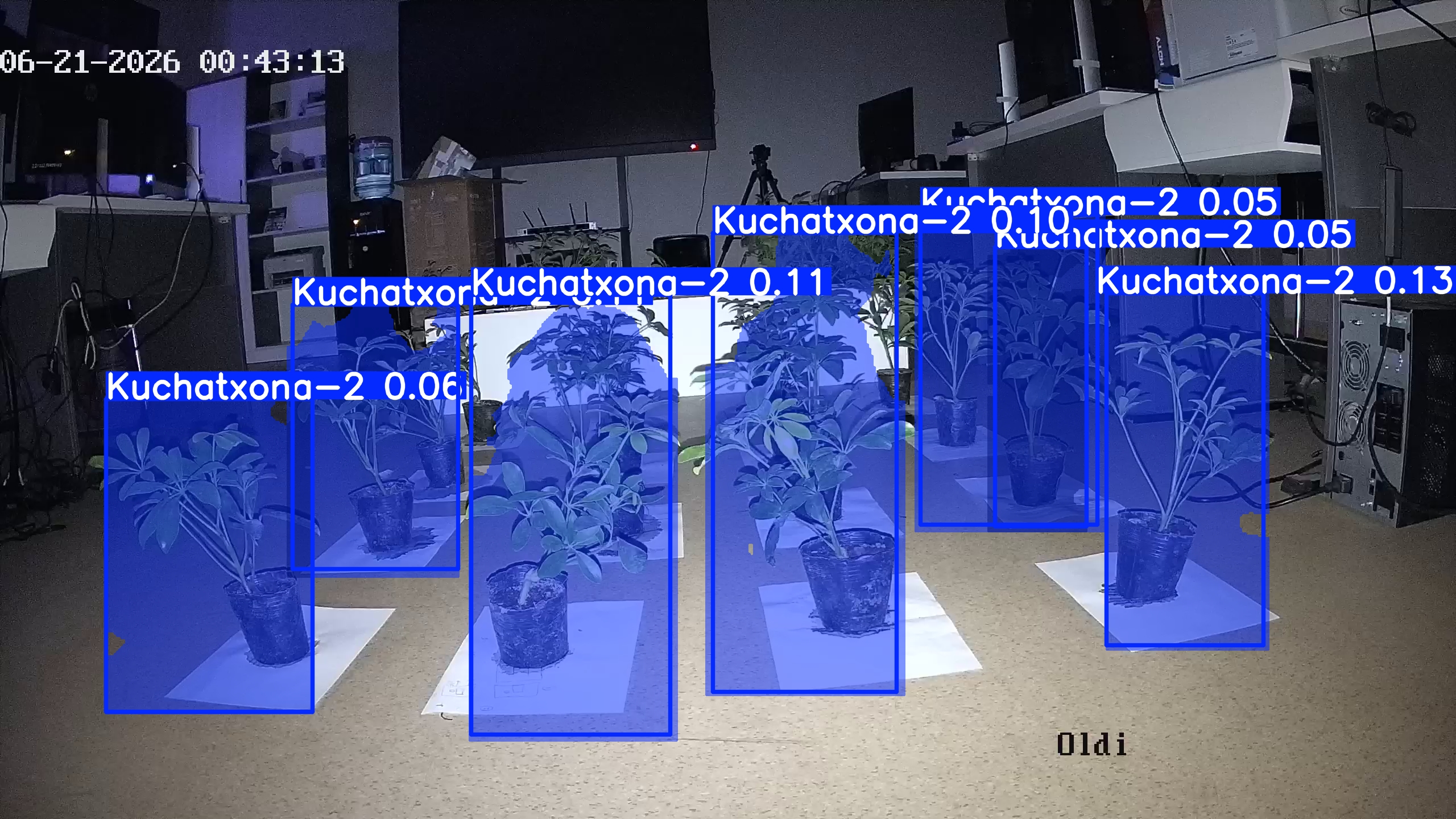 seedling_2026-06-21_00-43-31.jpg