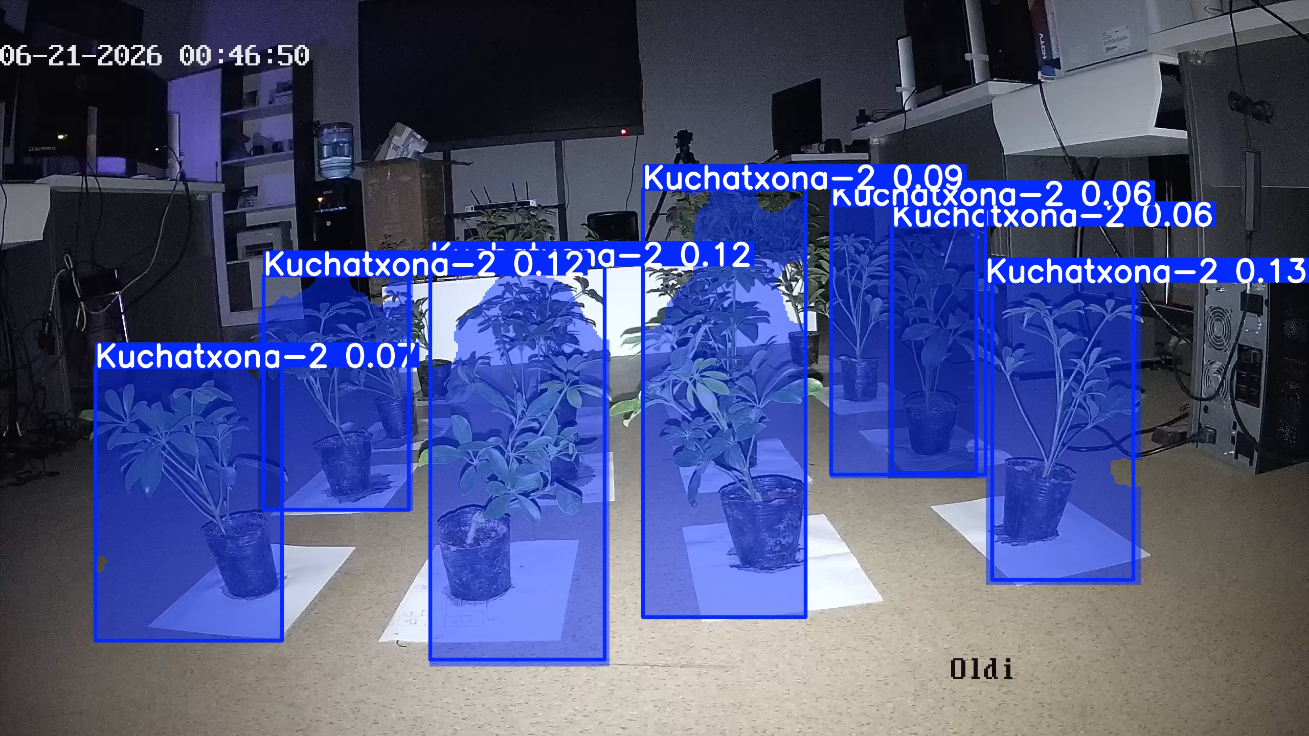 seedling_2026-06-21_00-47-07.jpg