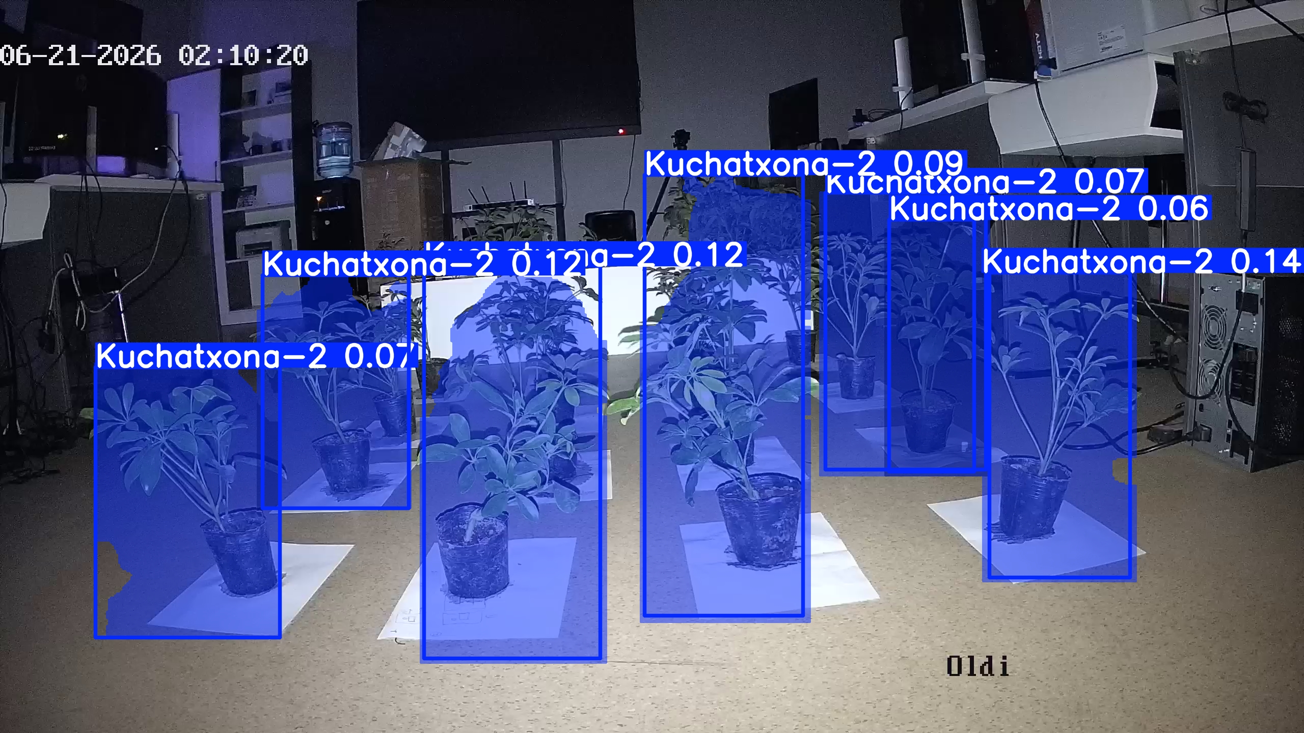 seedling_2026-06-21_02-10-37.jpg