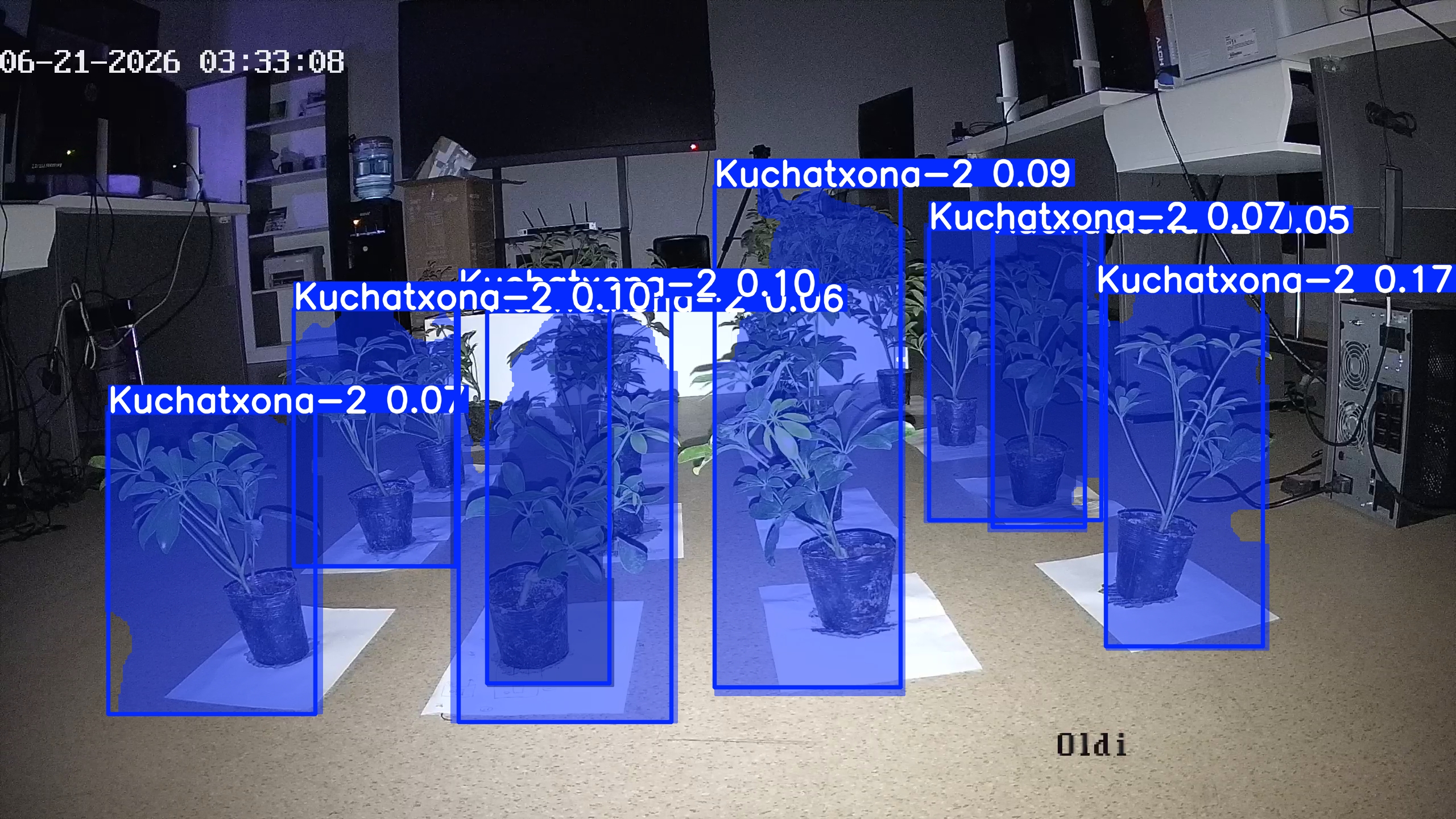 seedling_2026-06-21_03-33-59.jpg