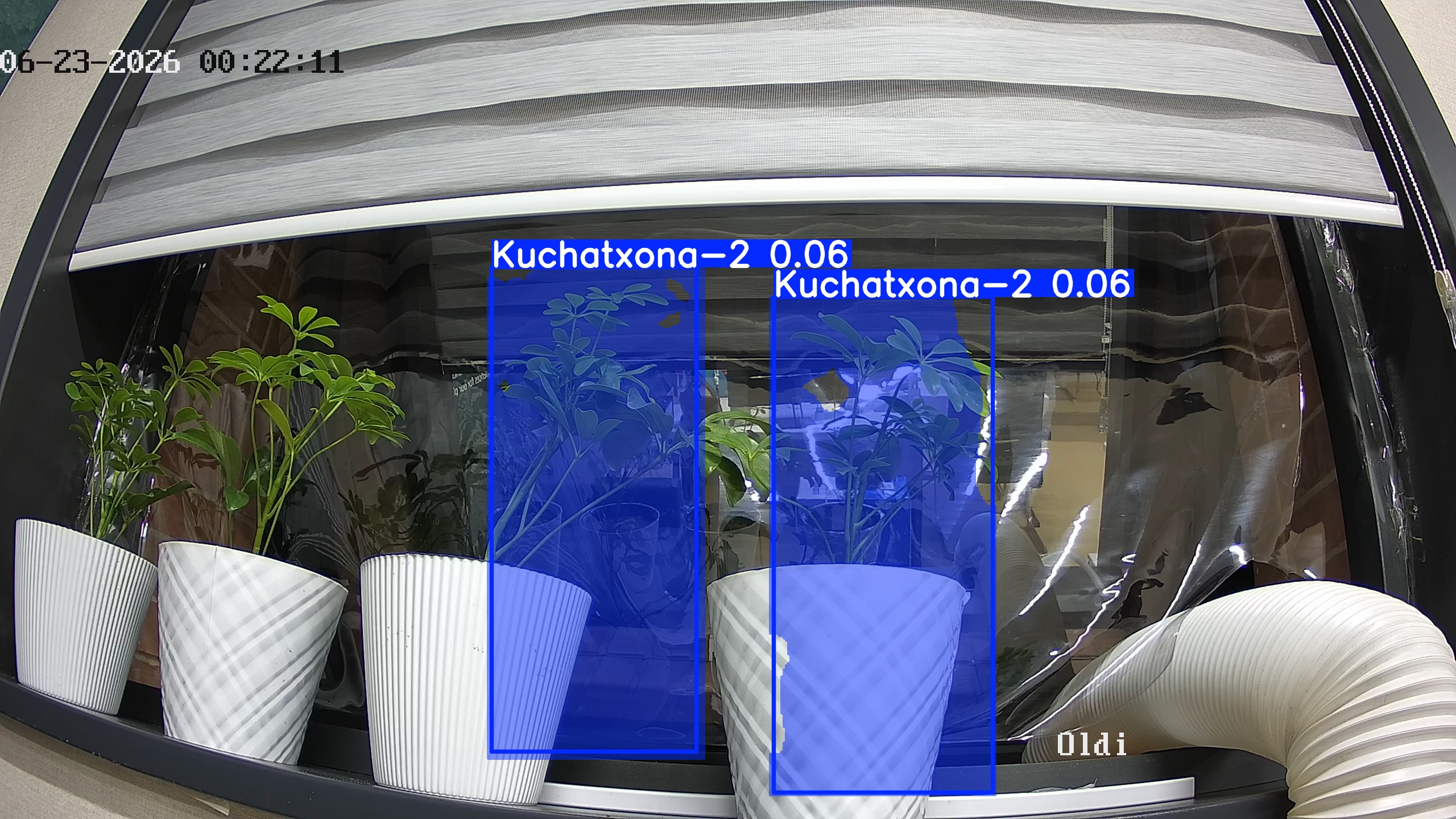 seedling_2026-06-23_00-22-24.jpg