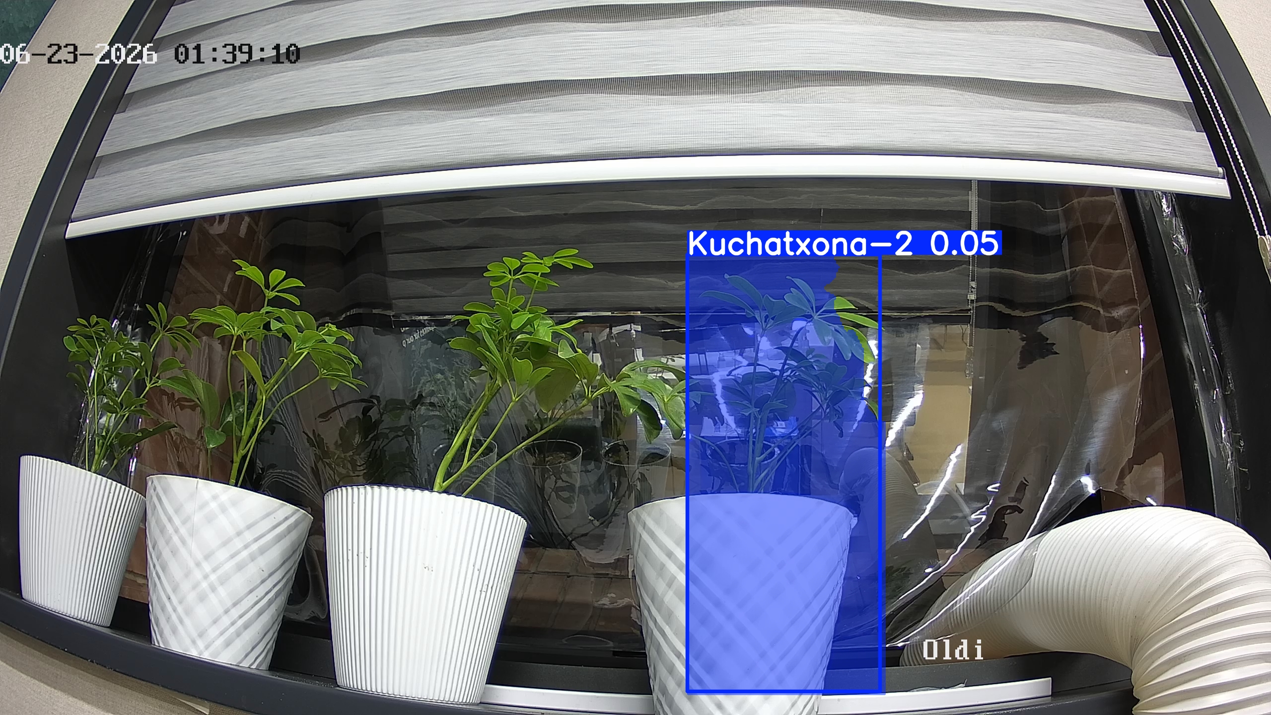 seedling_2026-06-23_01-39-23.jpg