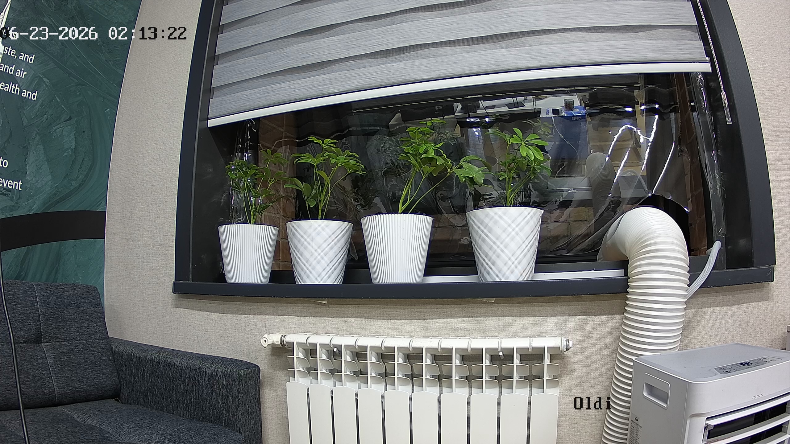 seedling_2026-06-23_02-13-34.jpg