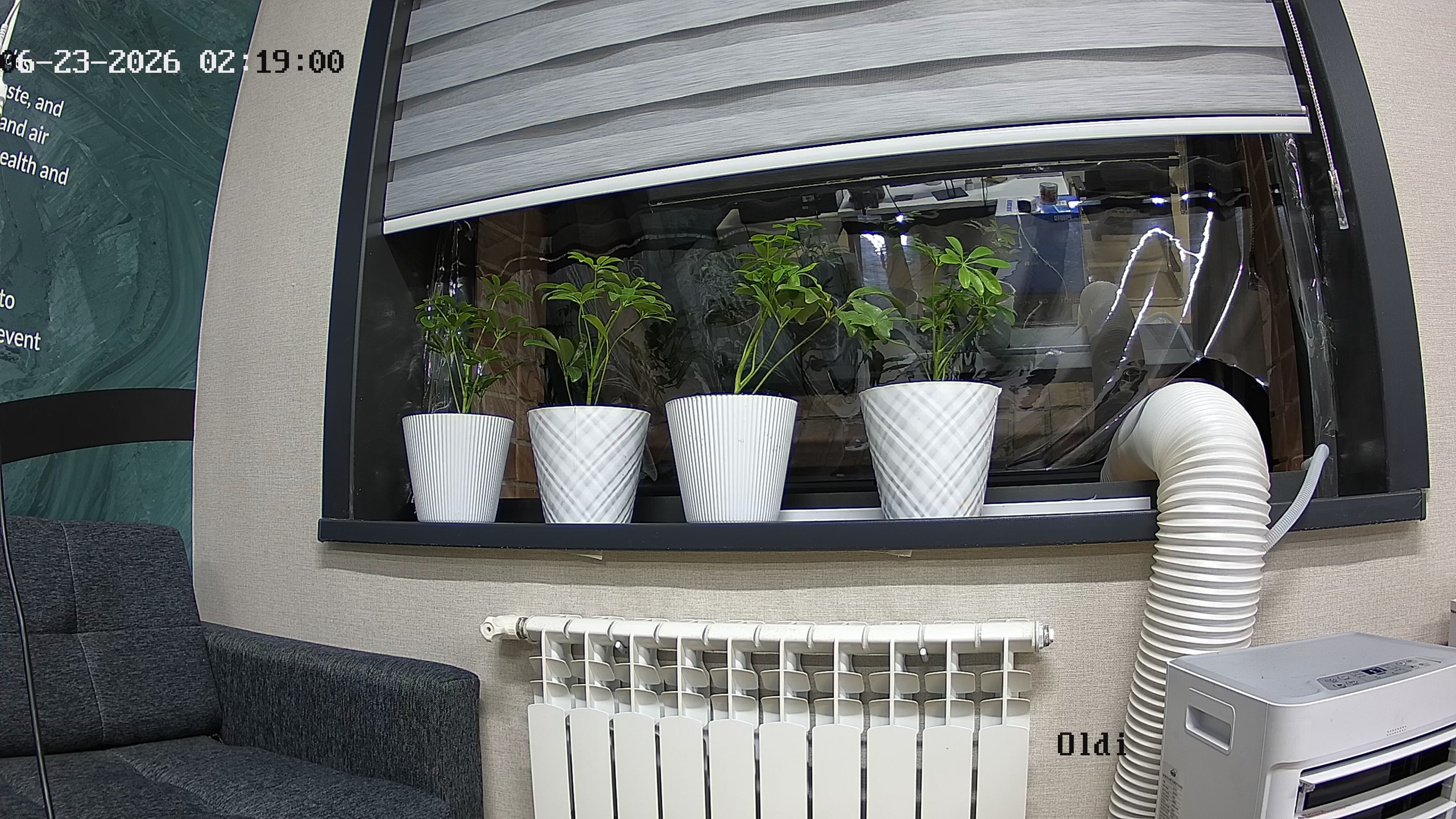 seedling_2026-06-23_02-19-18.jpg