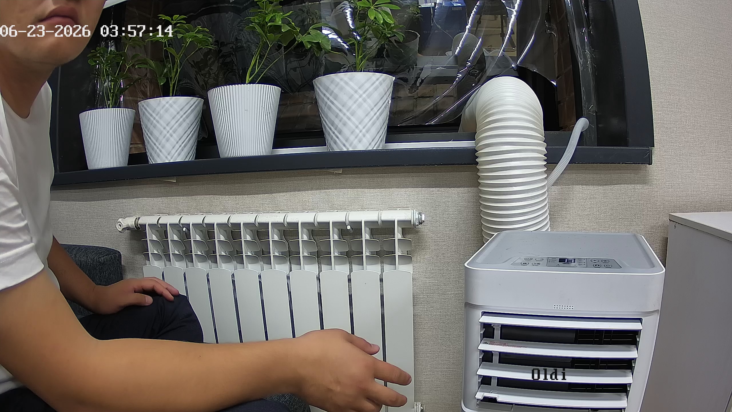 seedling_2026-06-23_03-57-26.jpg