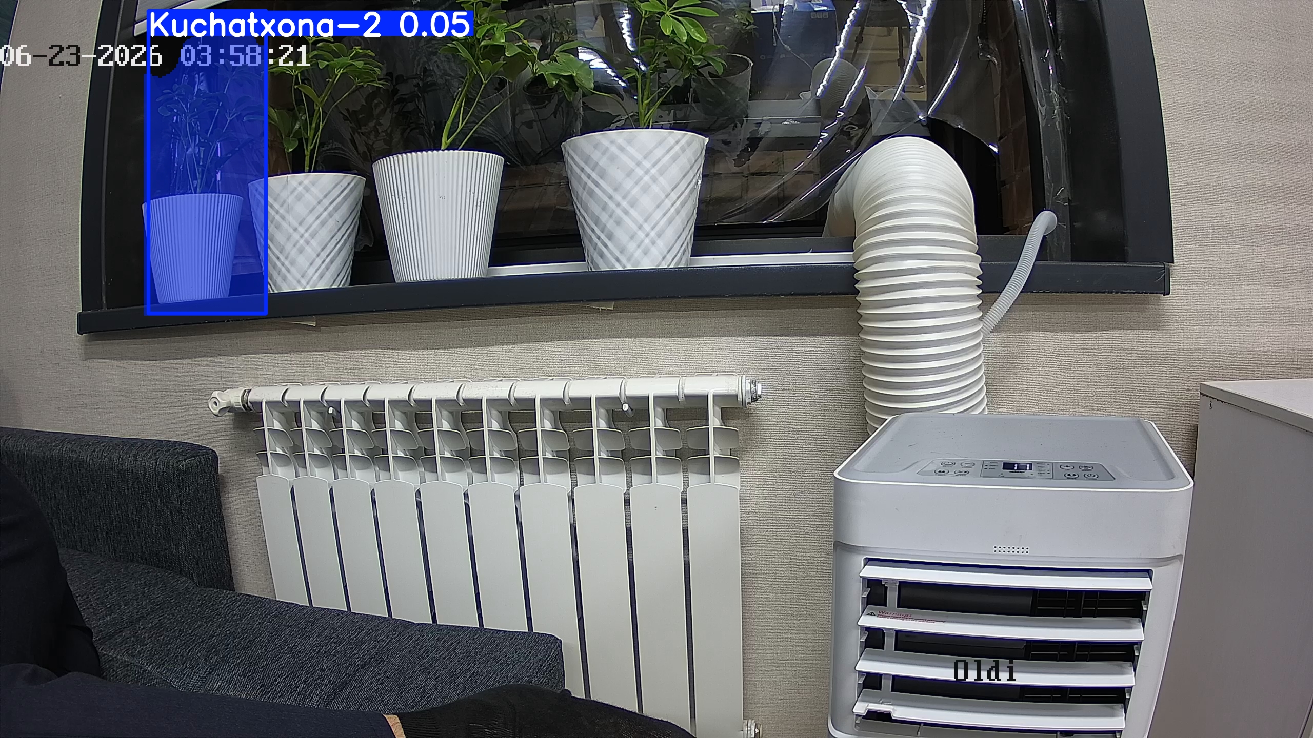 seedling_2026-06-23_03-58-39.jpg