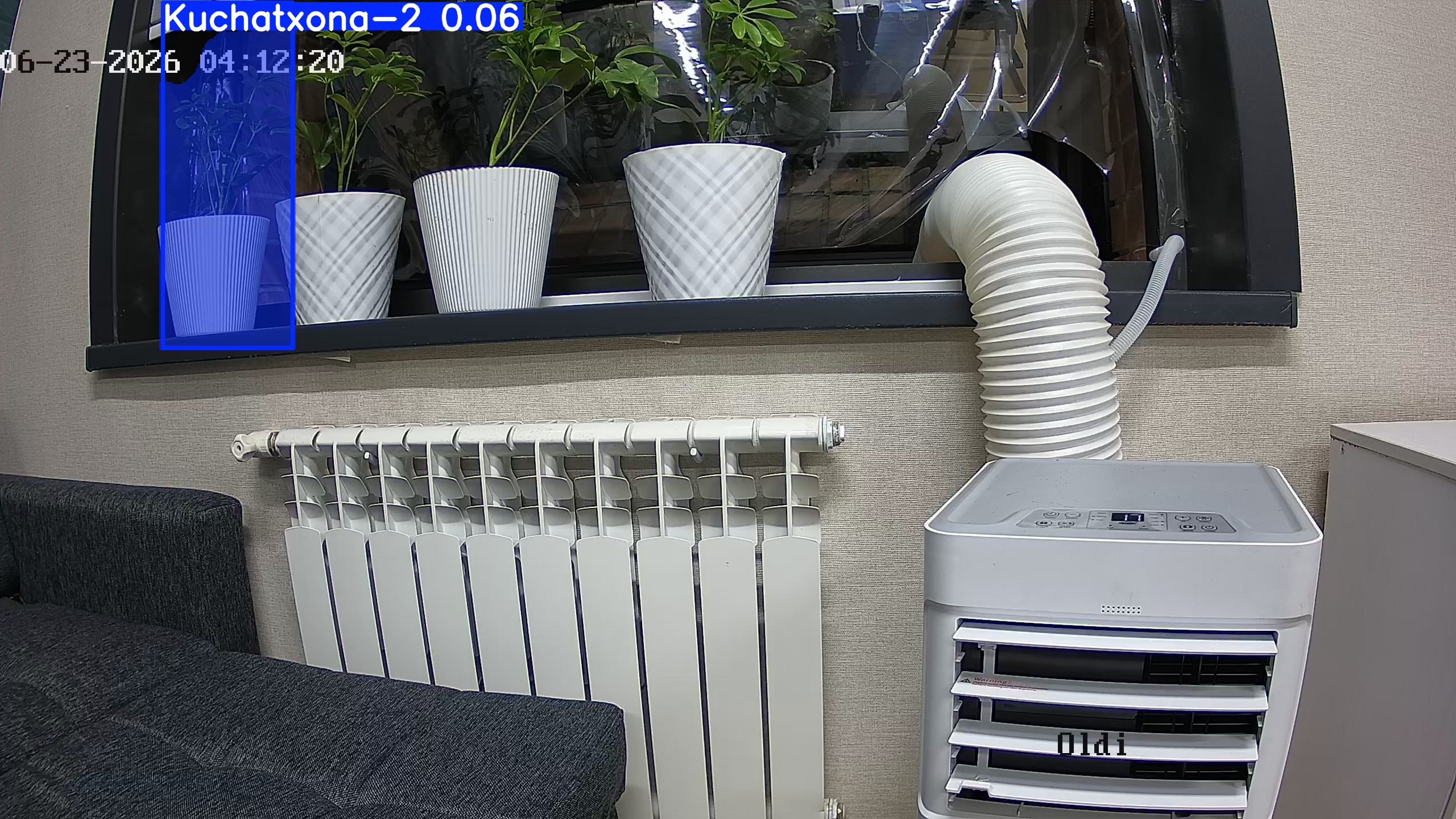 seedling_2026-06-23_04-12-38.jpg