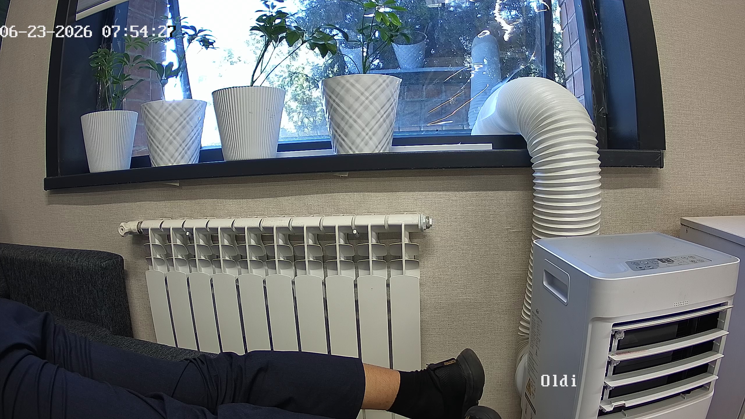 seedling_2026-06-23_07-54-45.jpg
