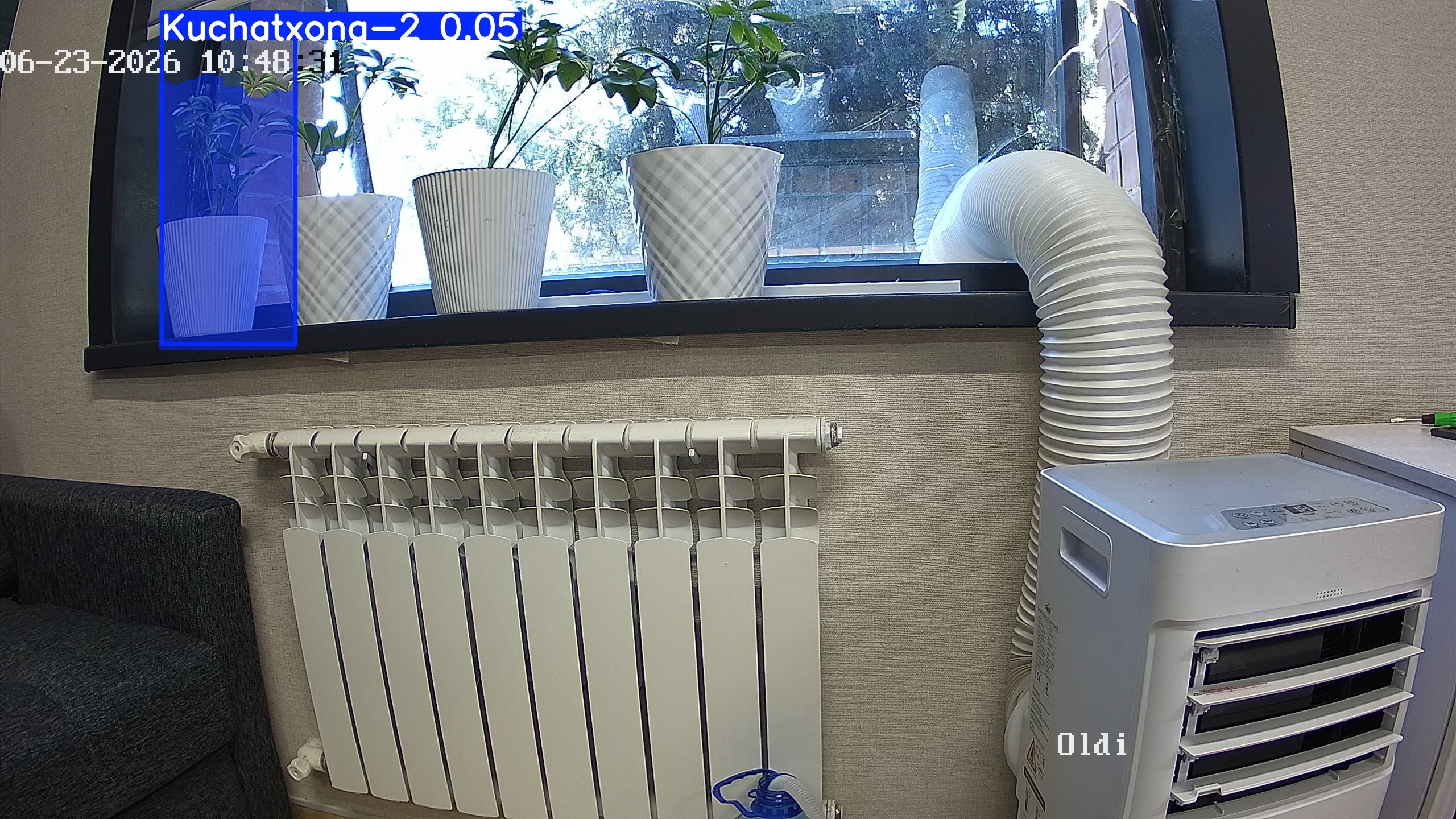 seedling_2026-06-23_10-48-49.jpg