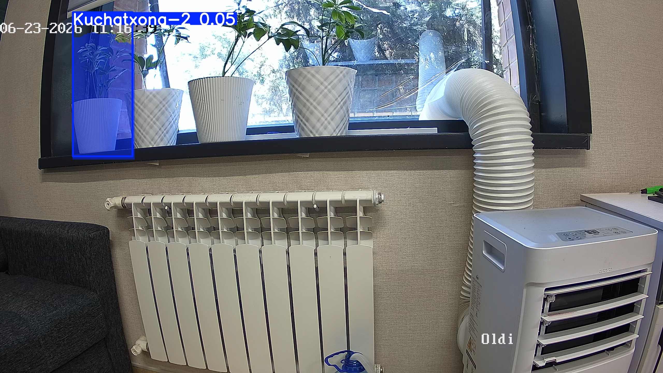 seedling_2026-06-23_11-16-57.jpg