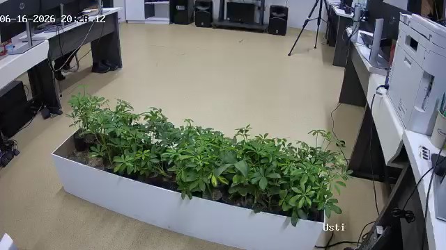 seedling_2026-06-16_20-28-53.jpg