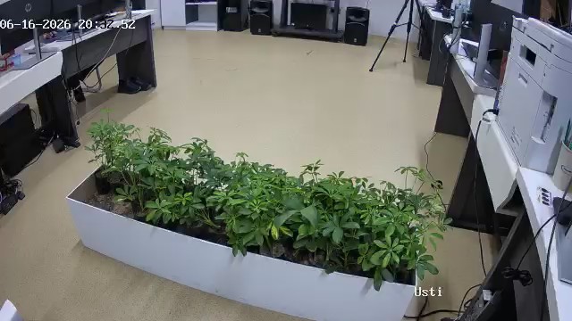 seedling_2026-06-16_20-33-54.jpg