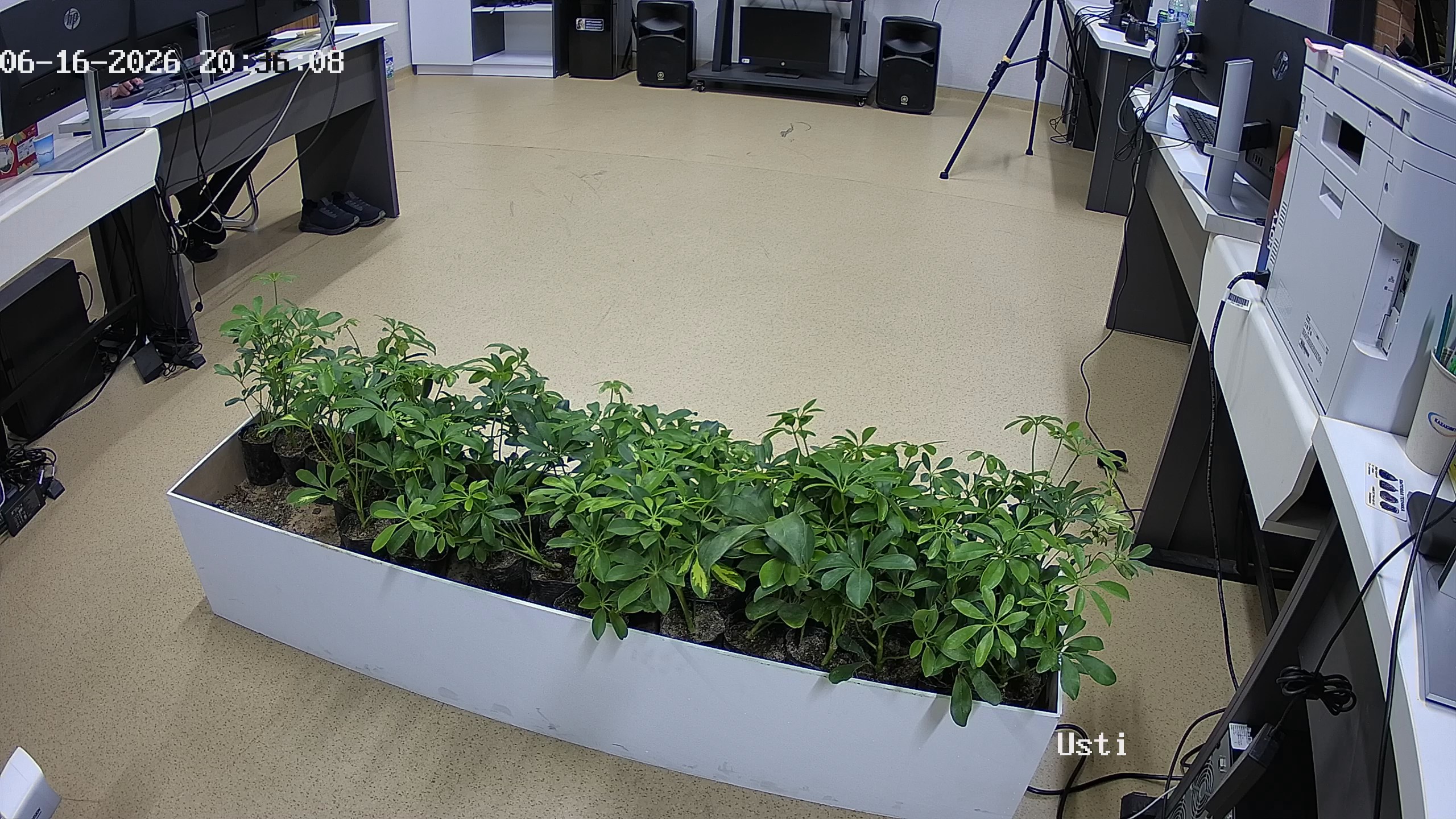 seedling_2026-06-16_20-36-12.jpg