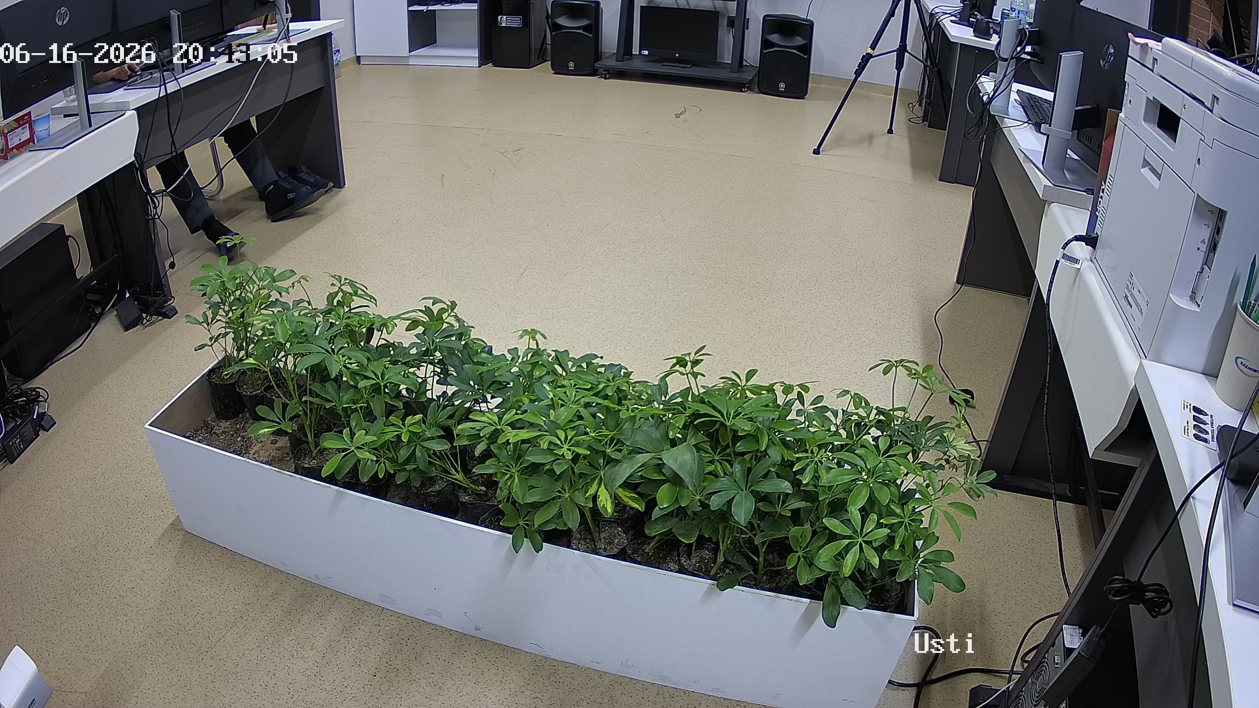 seedling_2026-06-16_20-43-54.jpg