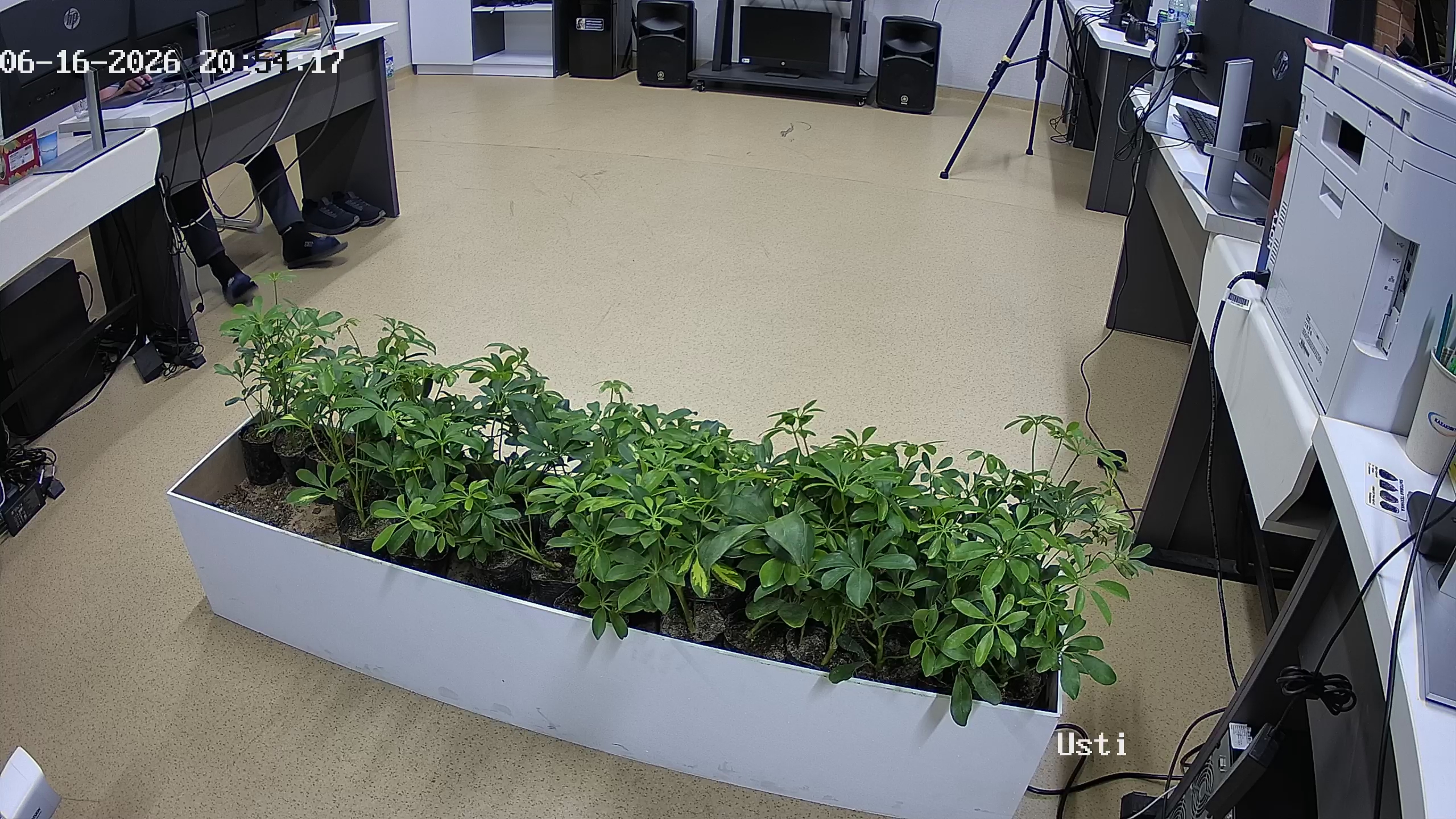 seedling_2026-06-16_20-54-38.jpg