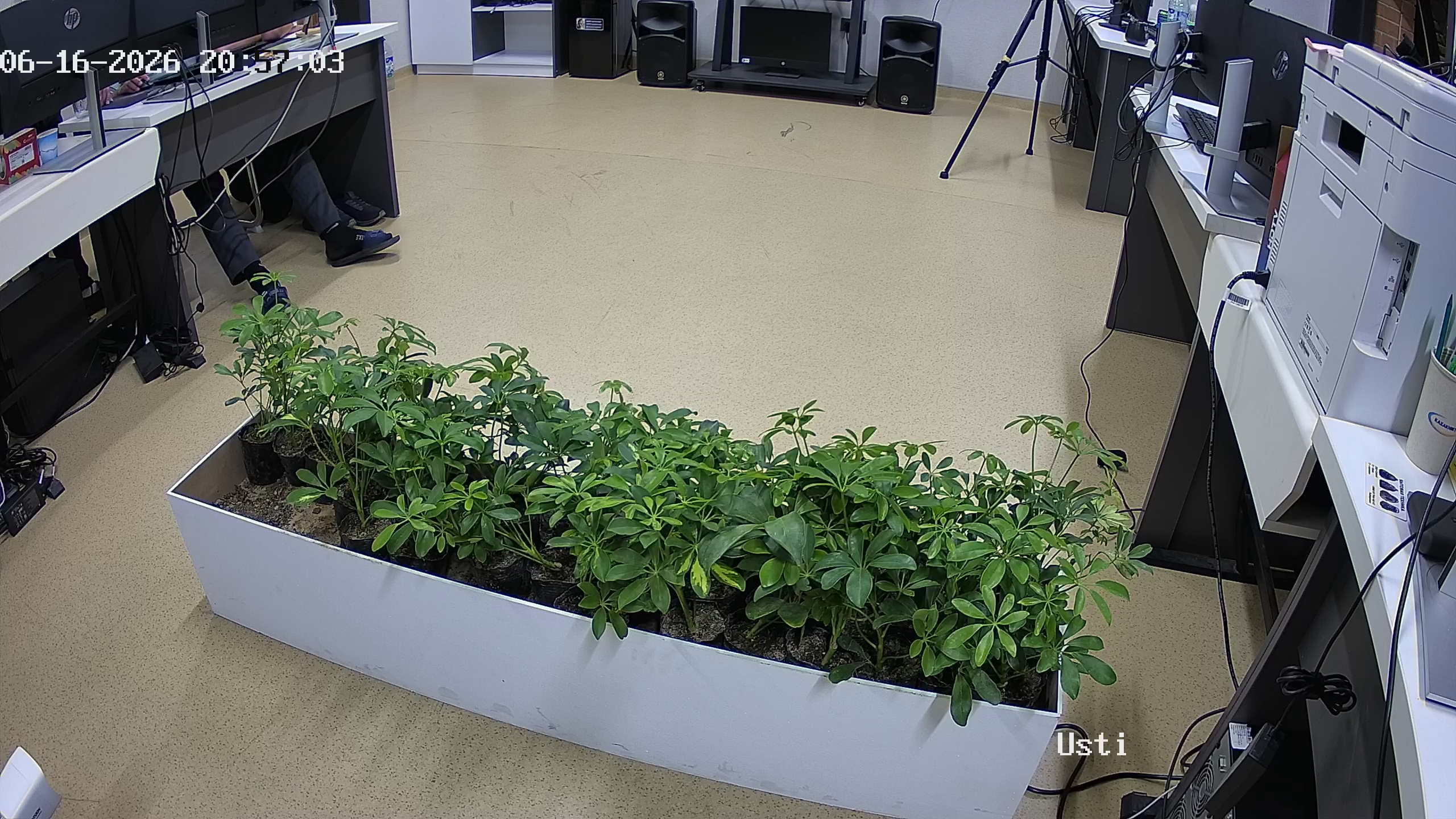 seedling_2026-06-16_20-57-42.jpg