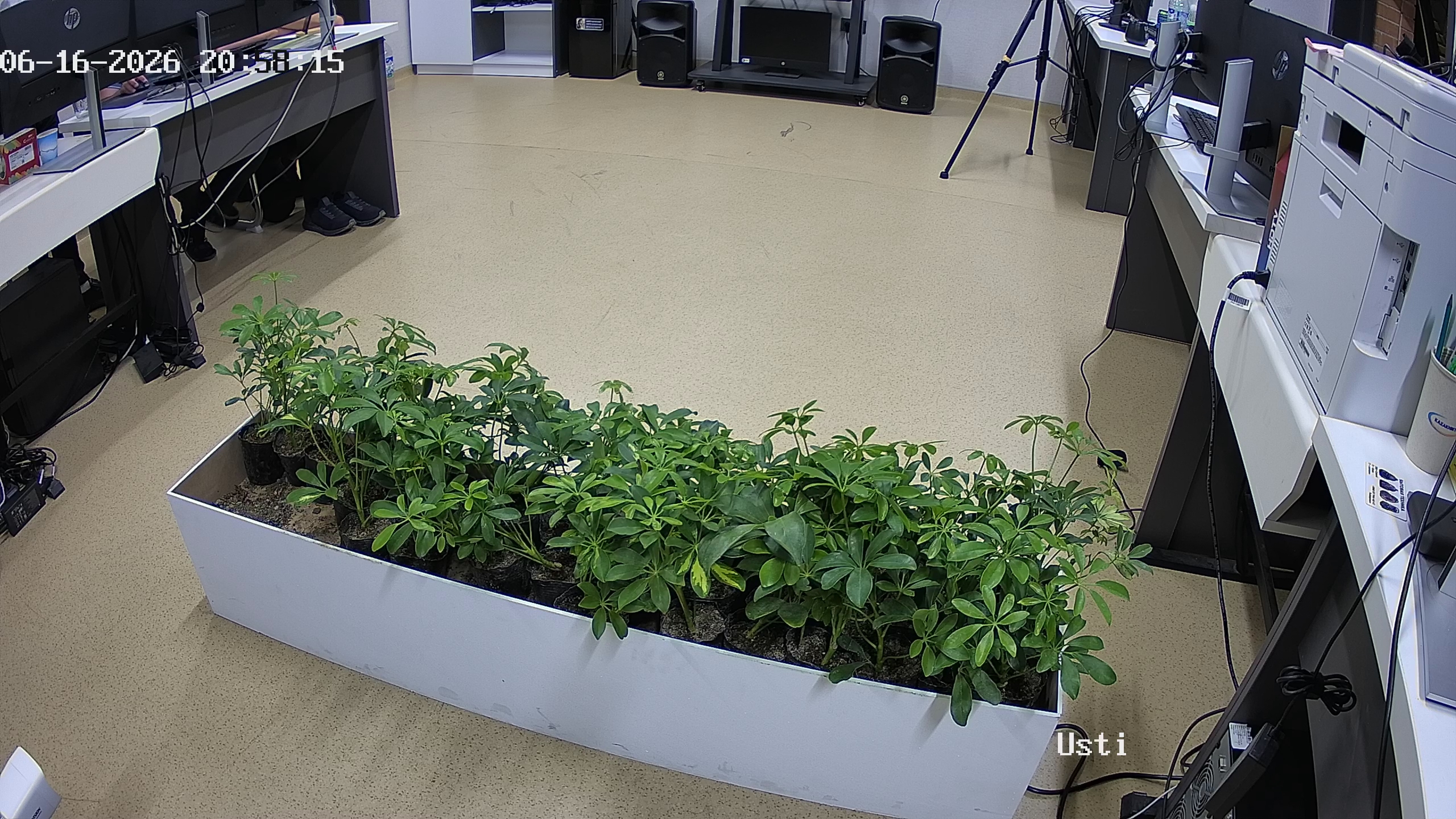 seedling_2026-06-16_20-59-05.jpg
