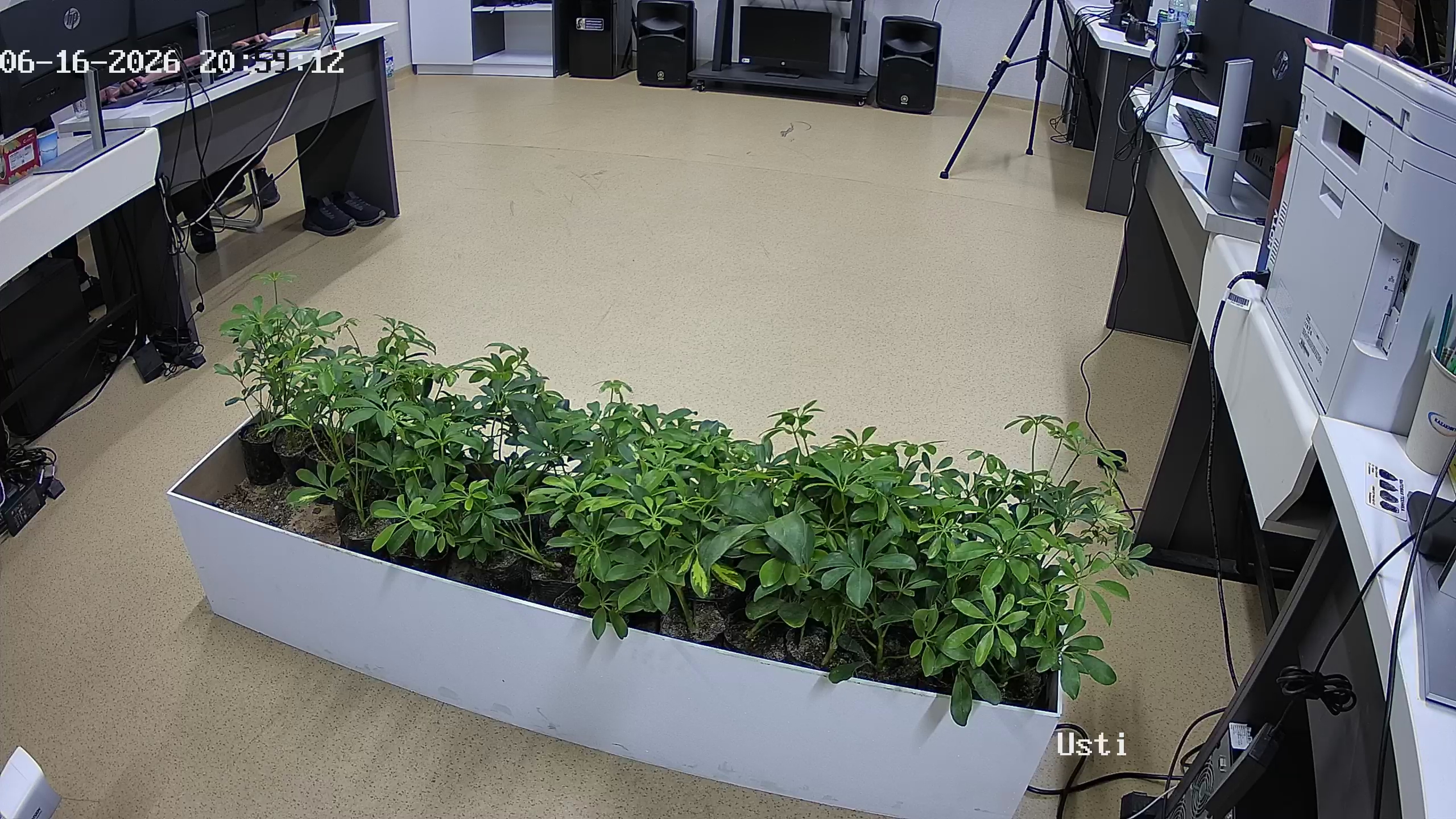 seedling_2026-06-16_20-59-42.jpg
