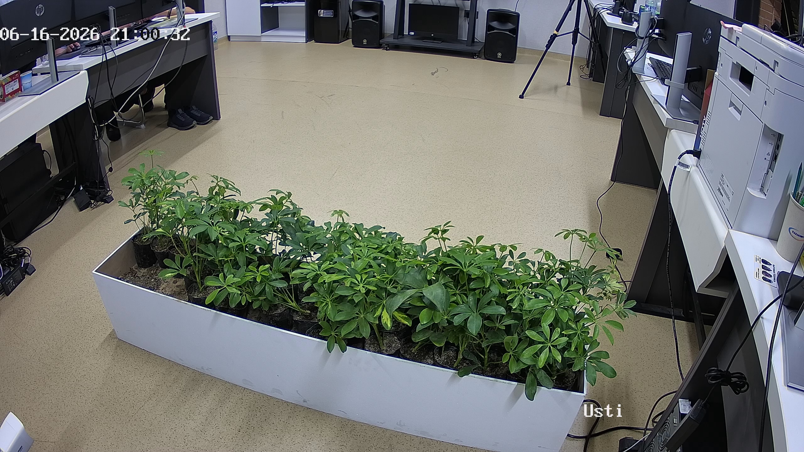 seedling_2026-06-16_21-00-42.jpg