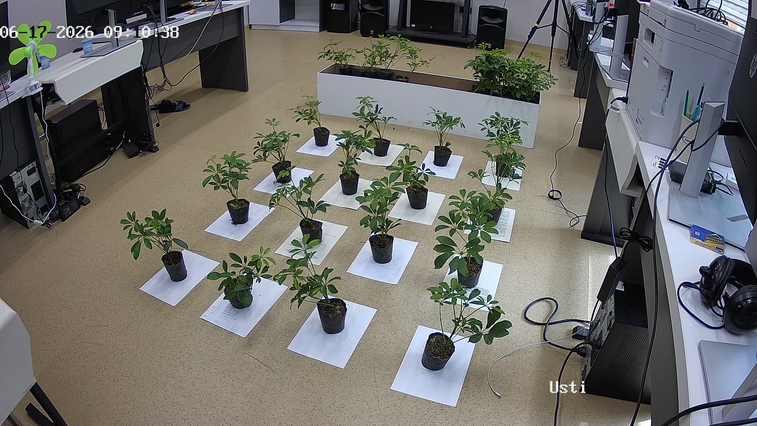 seedling_2026-06-17_09-10-49.jpg