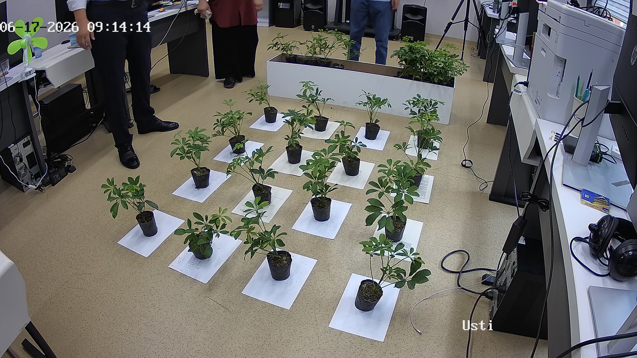 seedling_2026-06-17_09-14-25.jpg