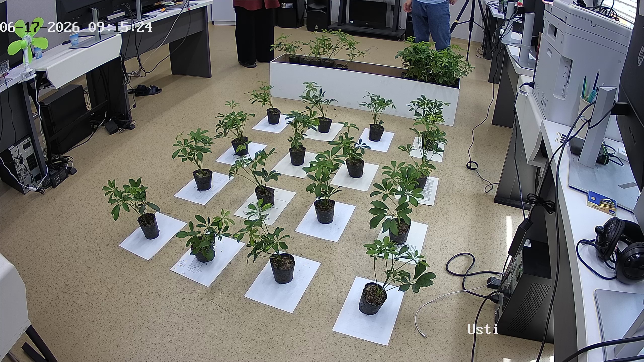 seedling_2026-06-17_09-15-45.jpg