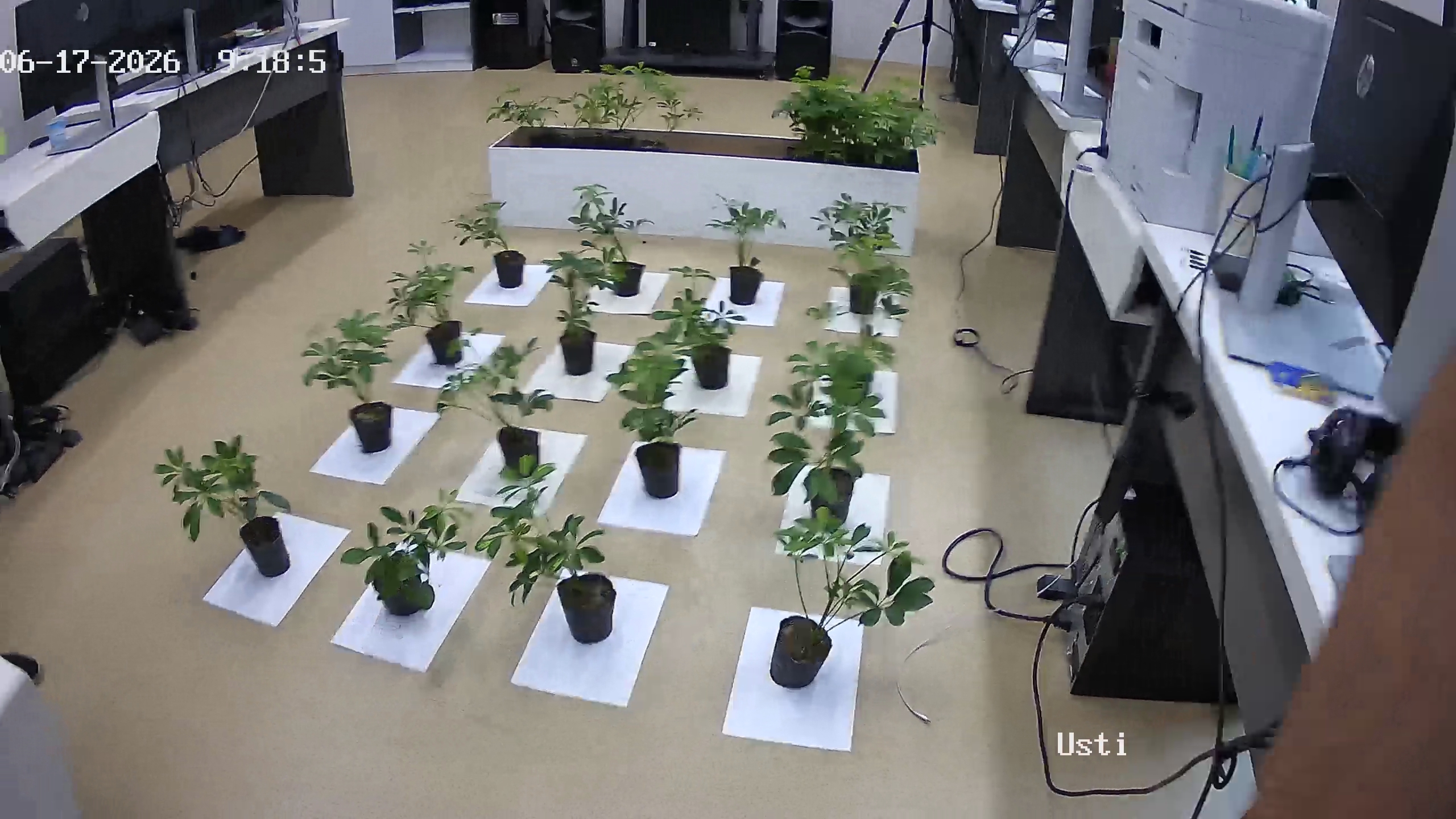 seedling_2026-06-17_09-19-40.jpg