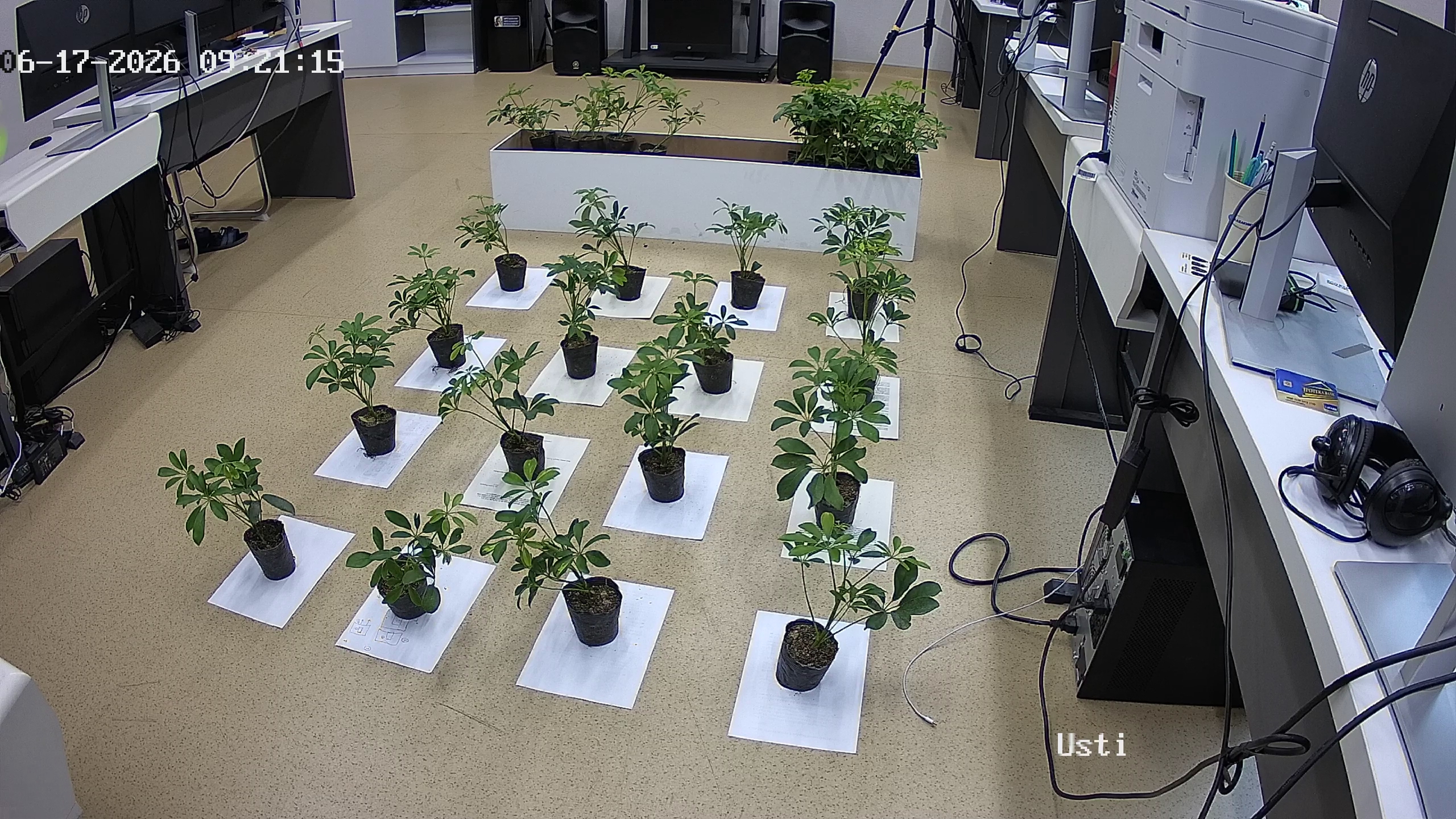 seedling_2026-06-17_09-22-24.jpg