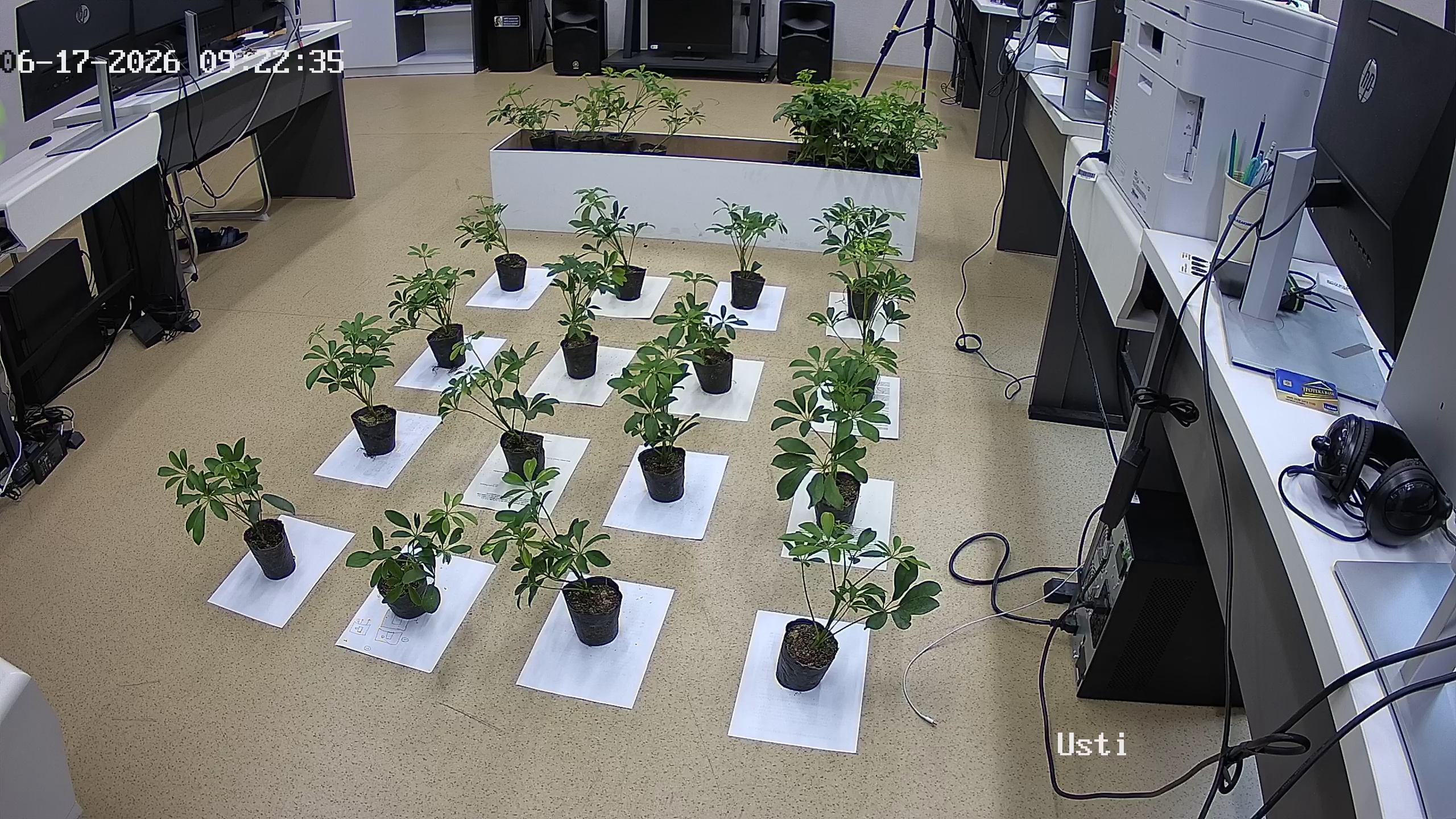 seedling_2026-06-17_09-23-07.jpg