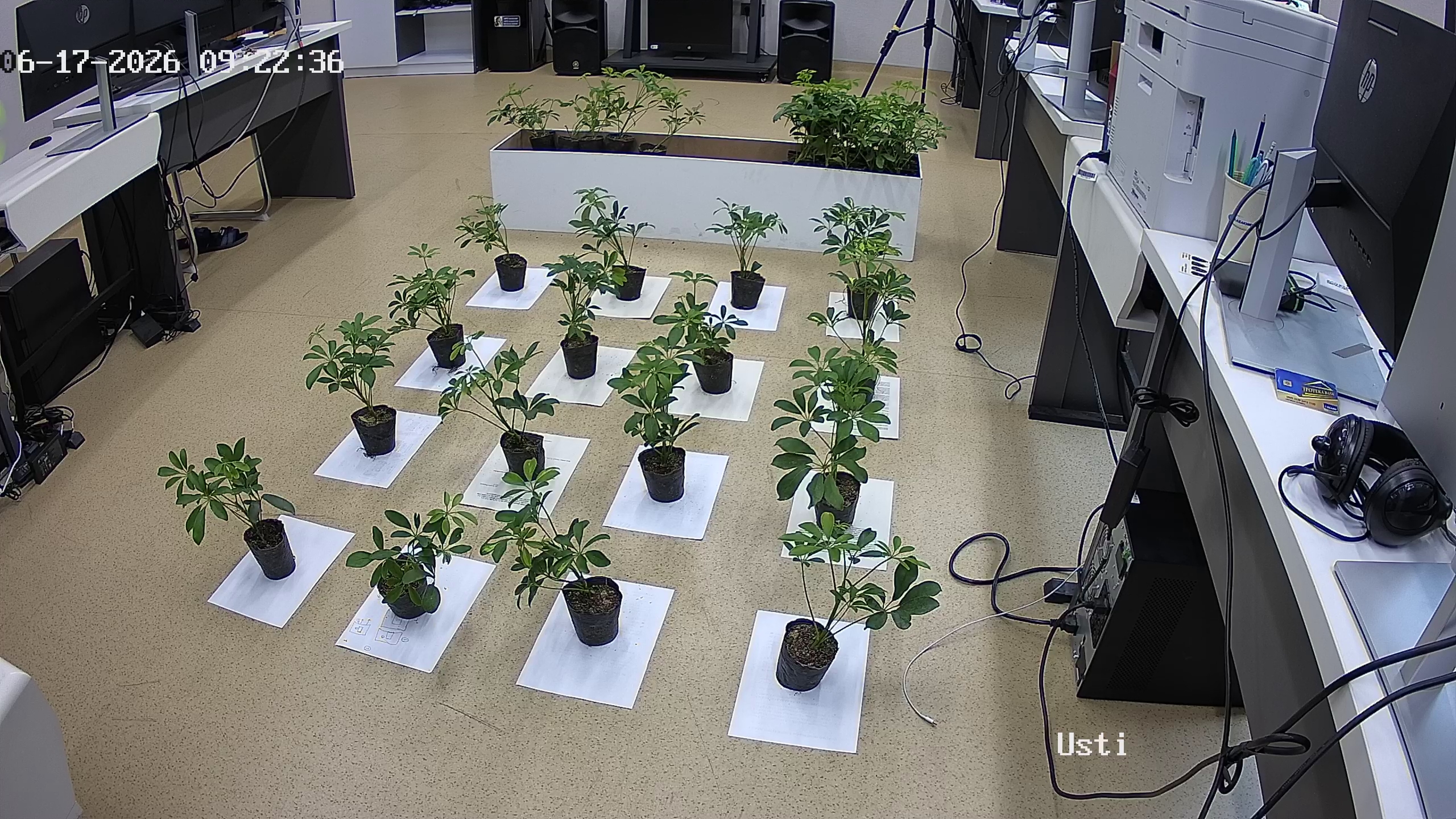 seedling_2026-06-17_09-23-27.jpg