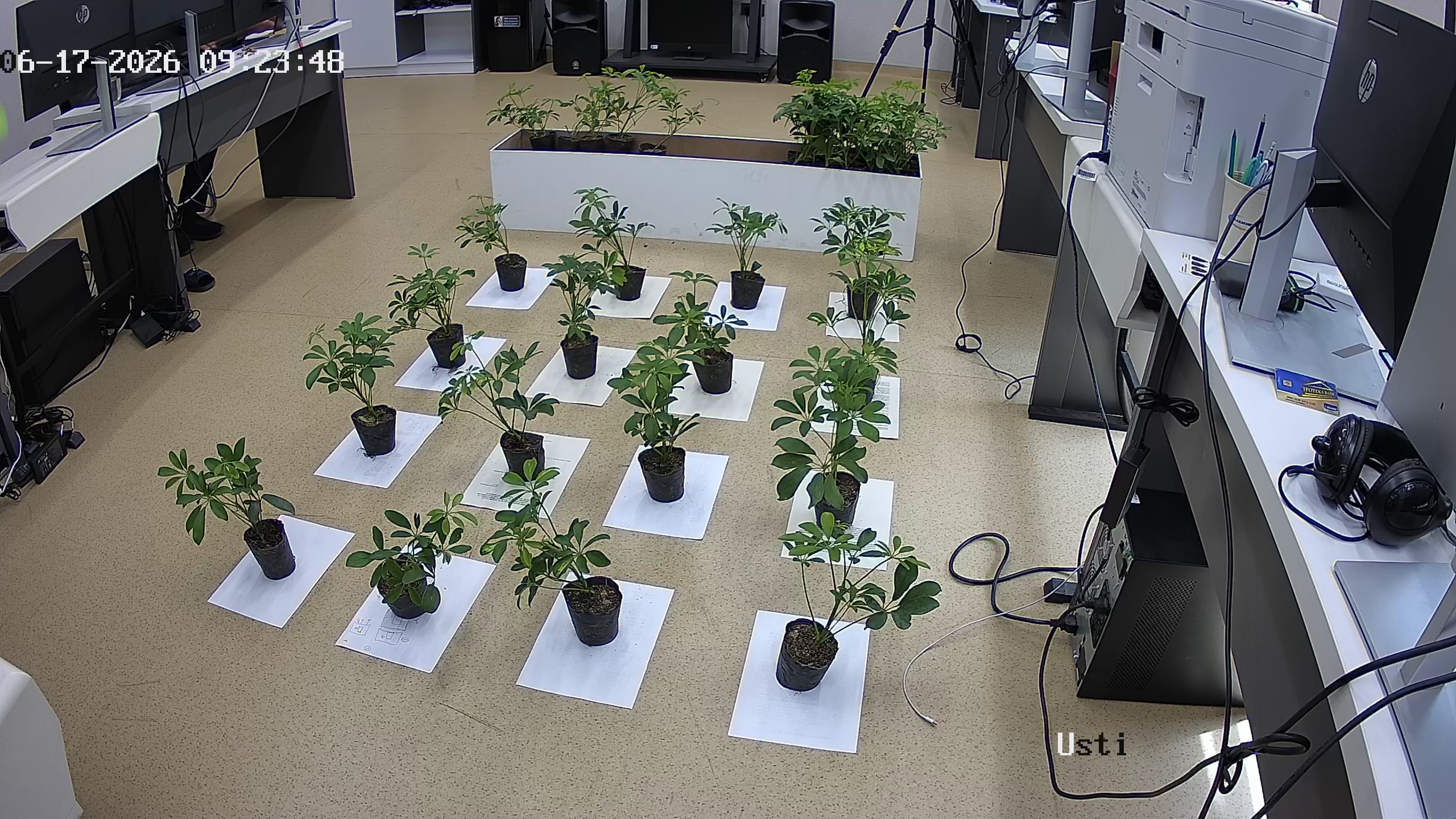 seedling_2026-06-17_09-24-18.jpg
