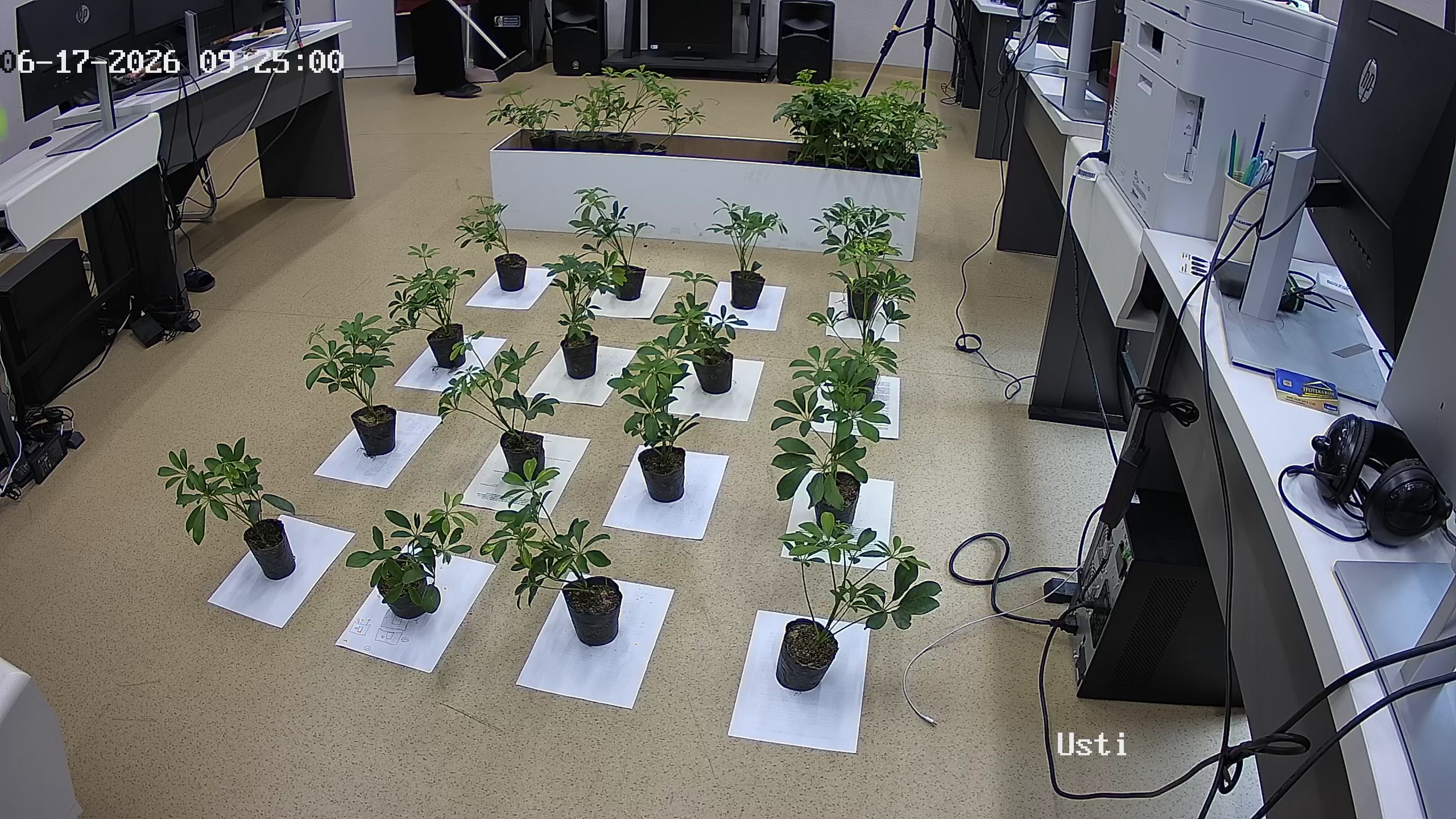 seedling_2026-06-17_09-25-20.jpg