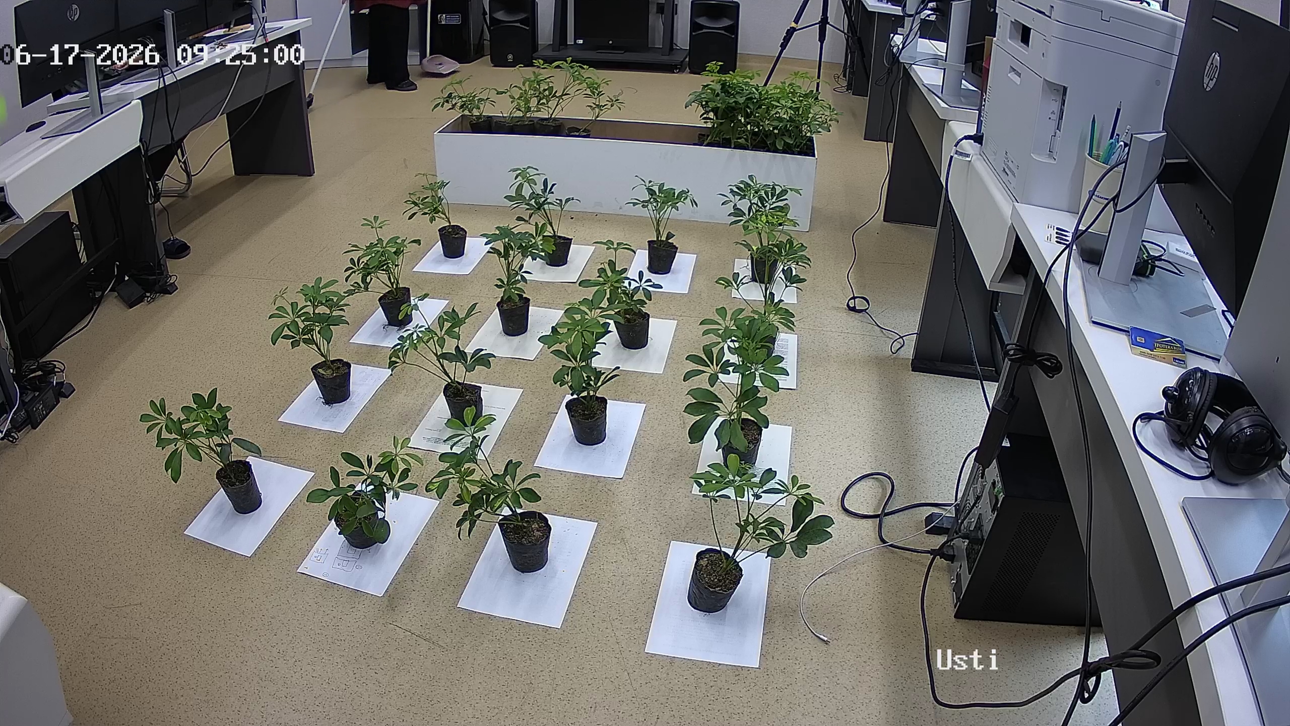 seedling_2026-06-17_09-25-30.jpg