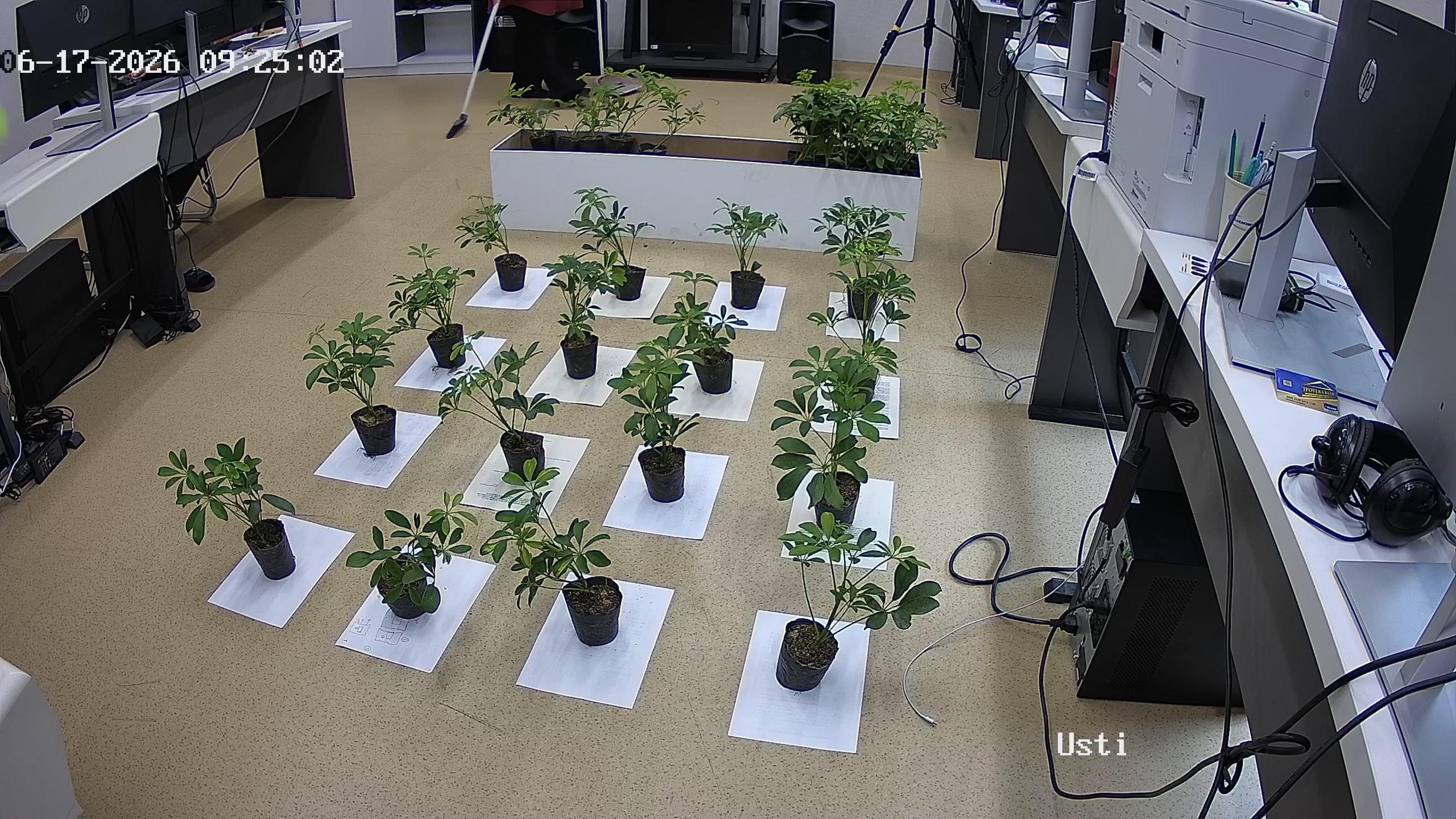 seedling_2026-06-17_09-26-01.jpg