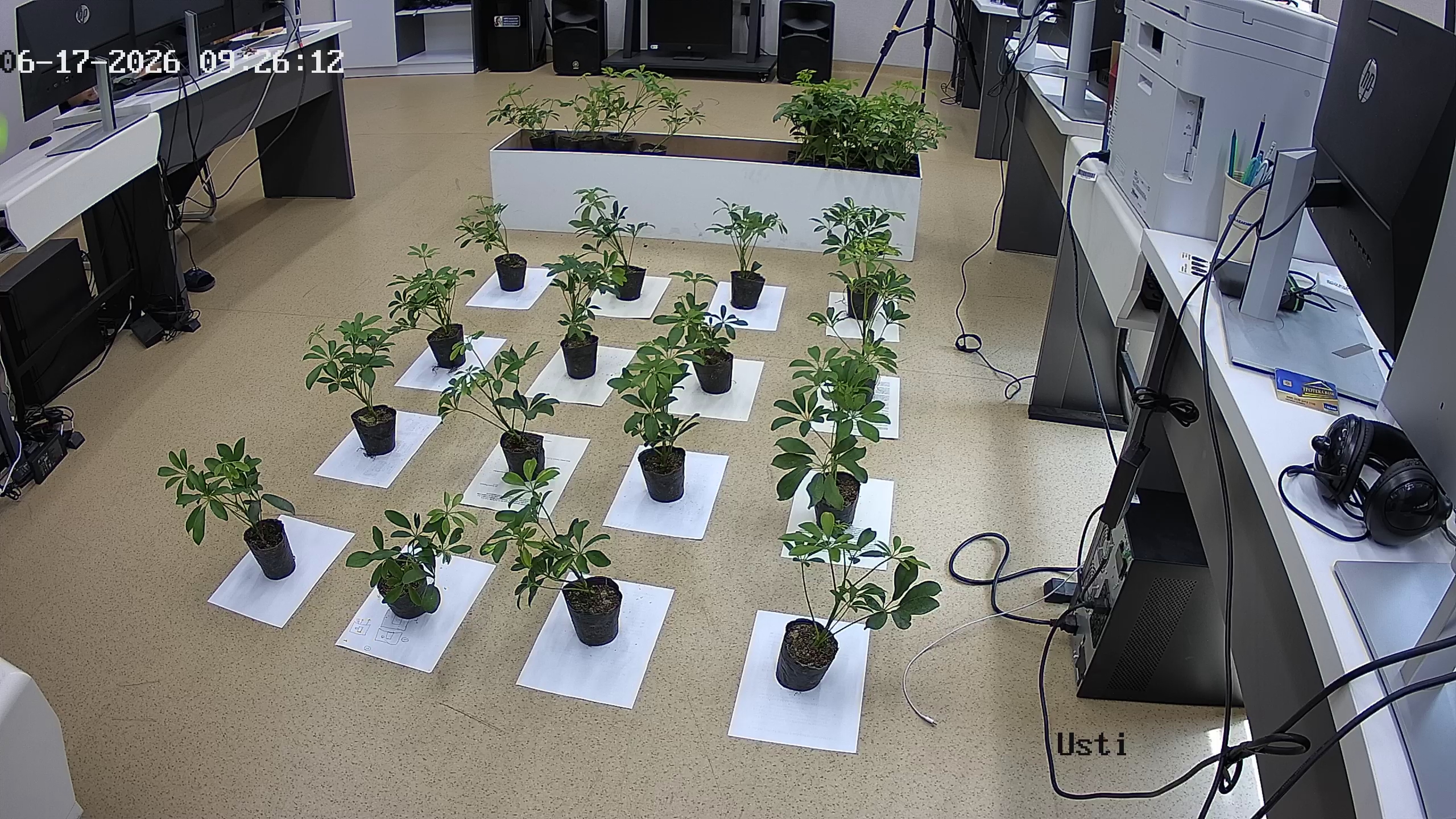 seedling_2026-06-17_09-26-33.jpg