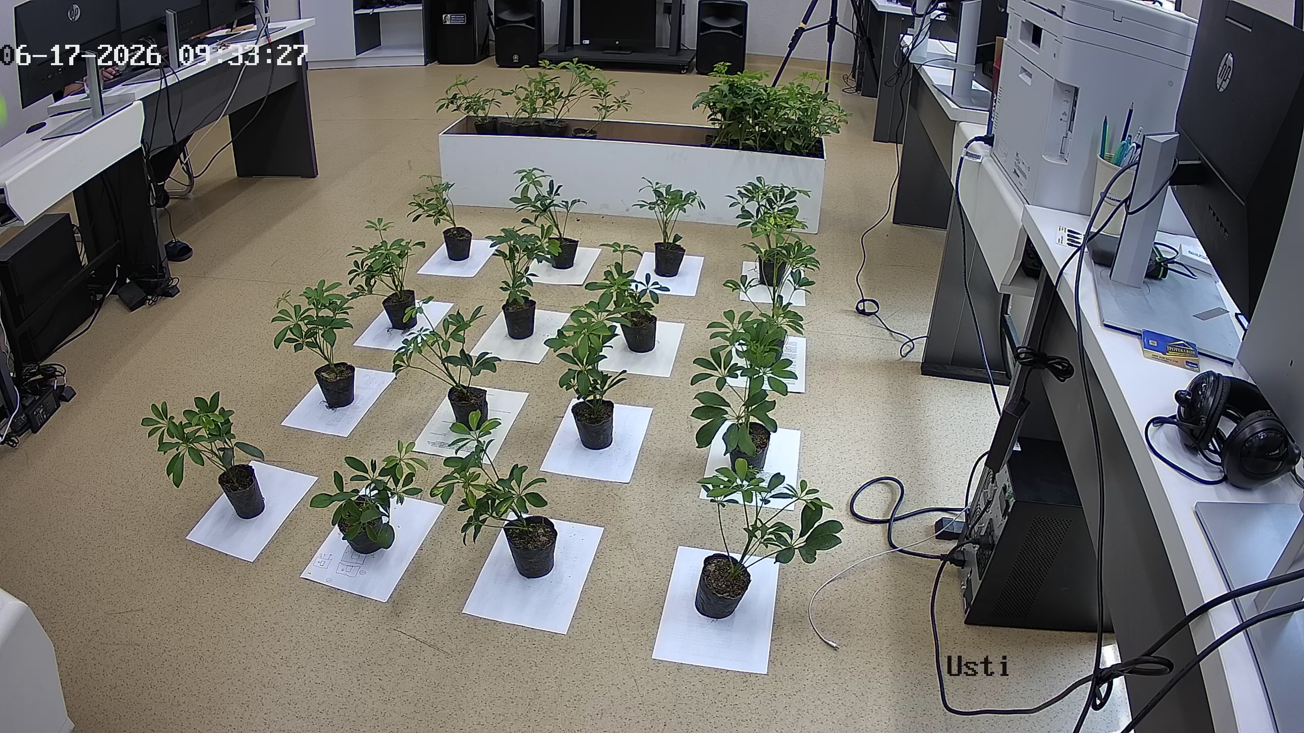 seedling_2026-06-17_09-33-48.jpg