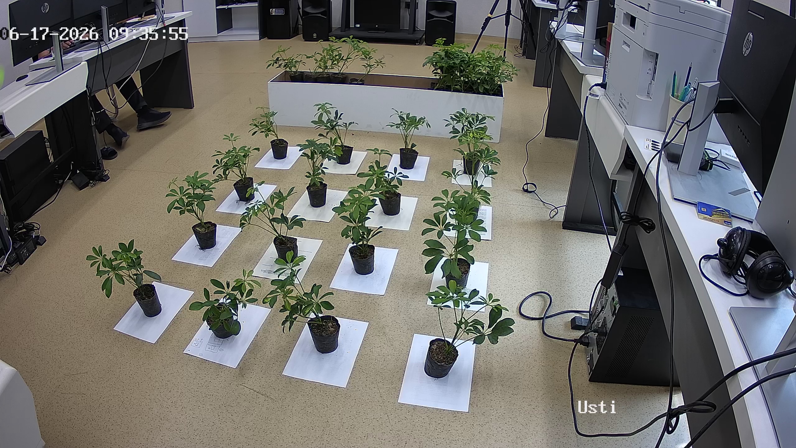 seedling_2026-06-17_09-36-34.jpg