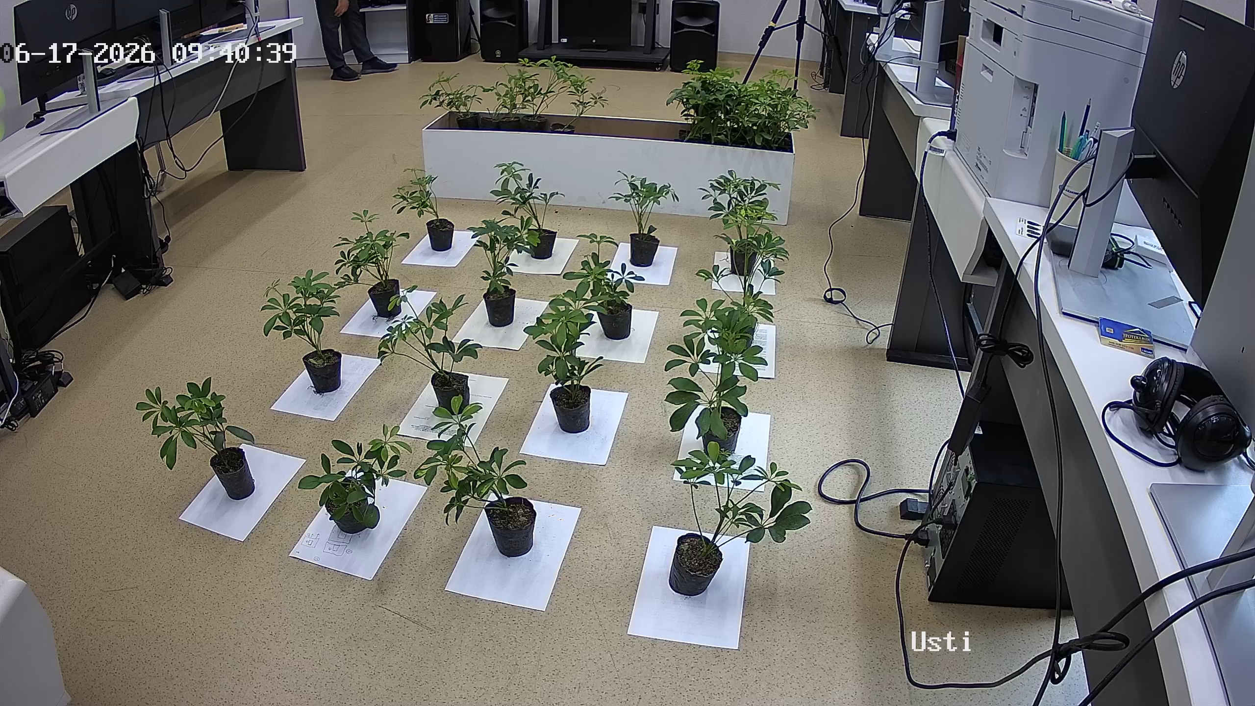 seedling_2026-06-17_09-40-51.jpg