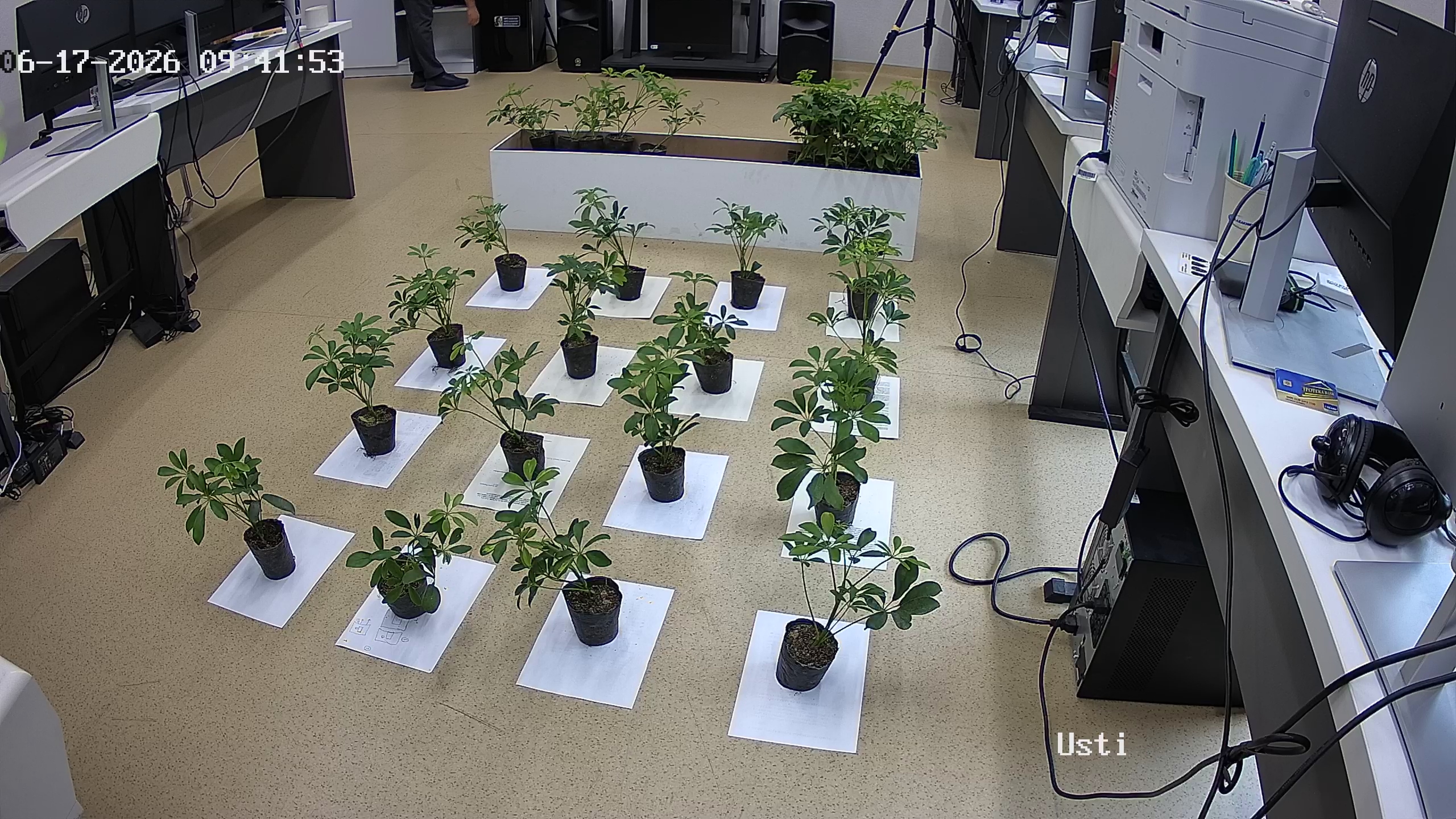 seedling_2026-06-17_09-42-24.jpg