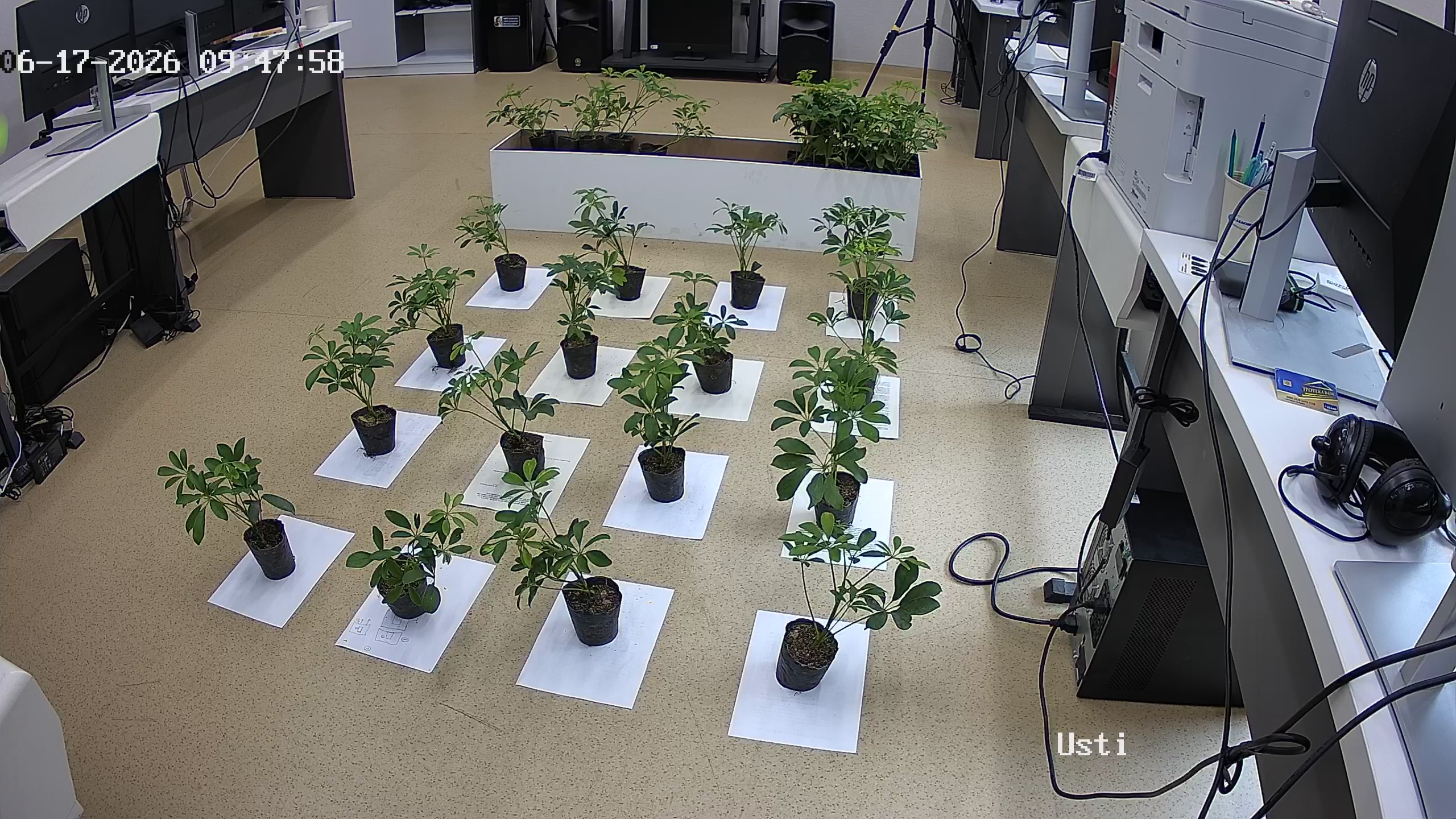 seedling_2026-06-17_09-48-47.jpg
