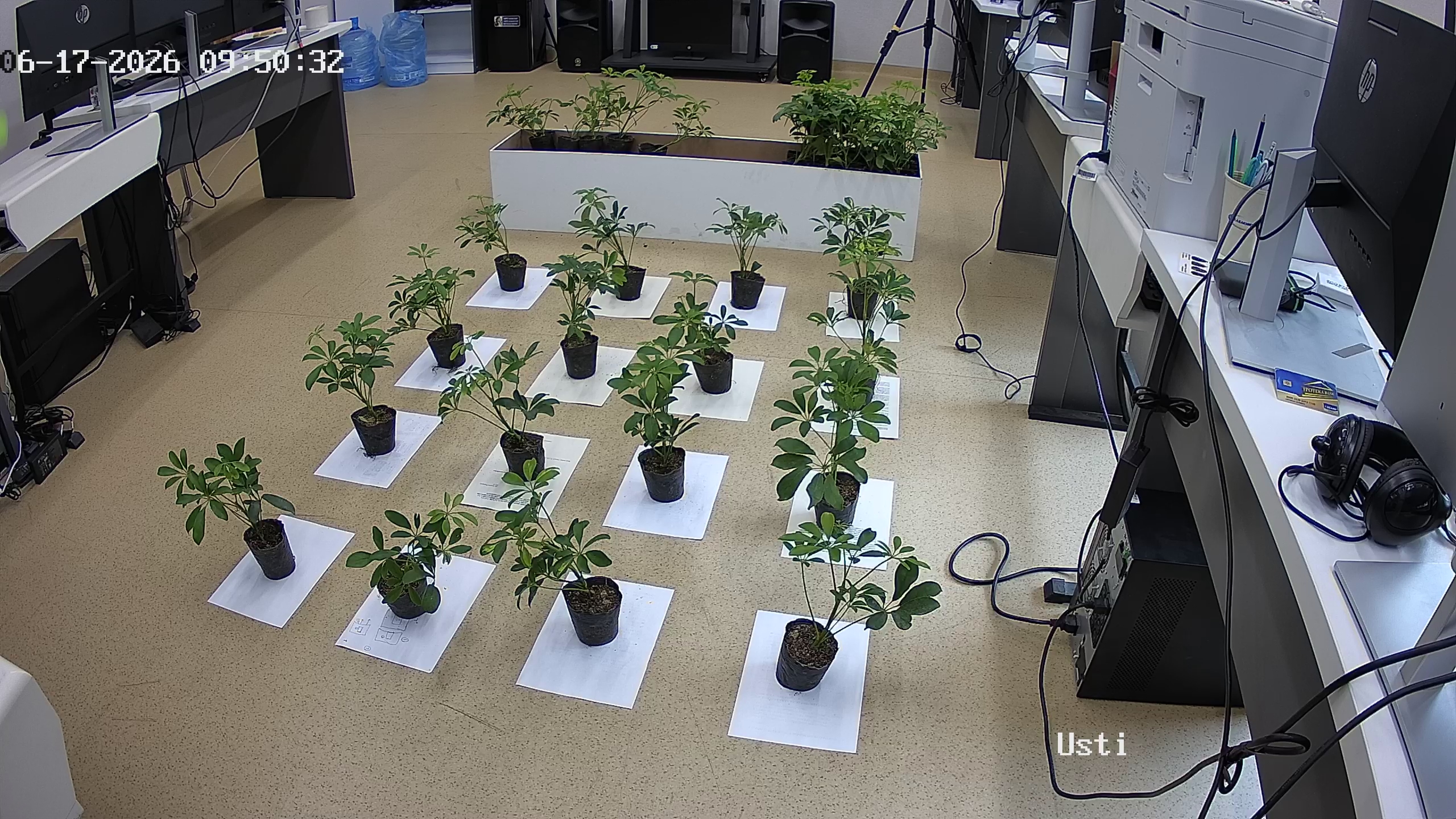 seedling_2026-06-17_09-51-12.jpg