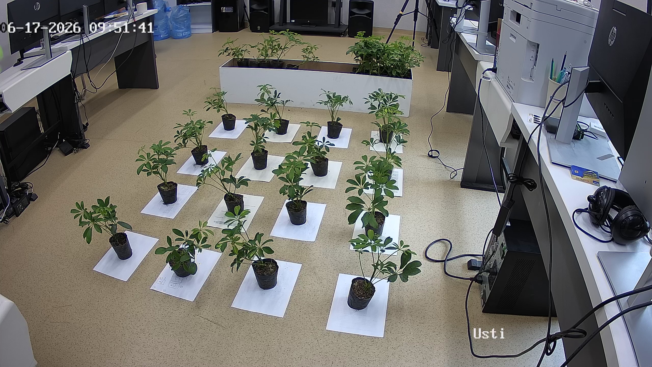 seedling_2026-06-17_09-52-11.jpg