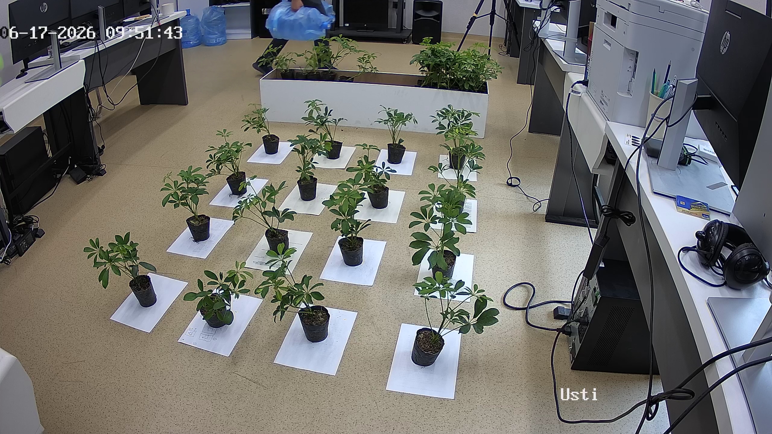 seedling_2026-06-17_09-52-42.jpg